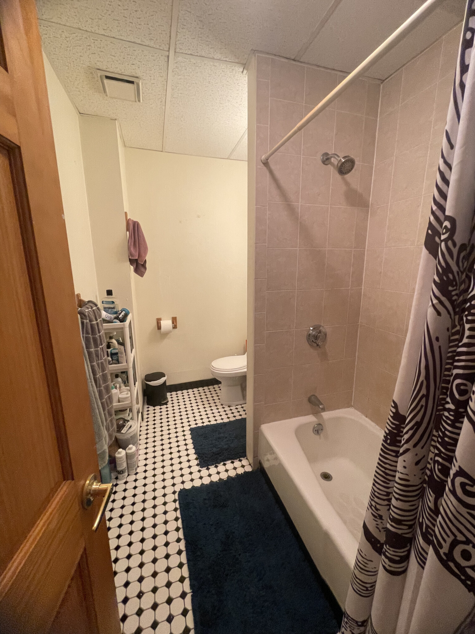 187 Beacon St, Spring Hill