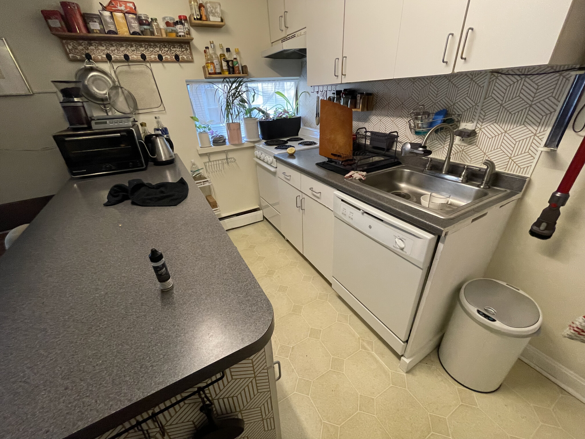 77 Trowbridge St, Central Square