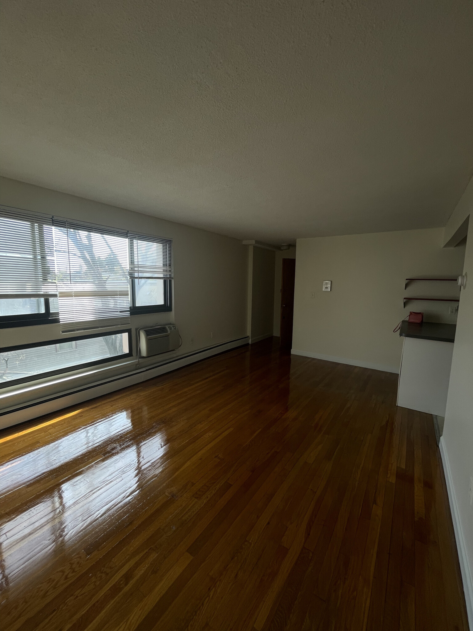 Photos of apartment on Trowbridge St.,Cambridge MA 02138