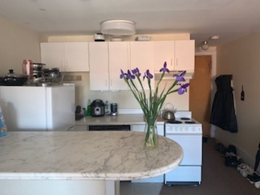 2 bed, 1 bath apartment for rent at 471 Commonwealth Ave Unit 4R, Fenway — photo 5 of 8