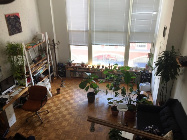 61 Brookline Ave, Fenway