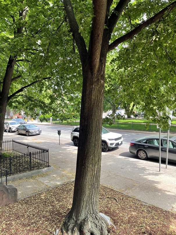 Photos of apartment on Commonwealth Ave.,Boston MA 02215