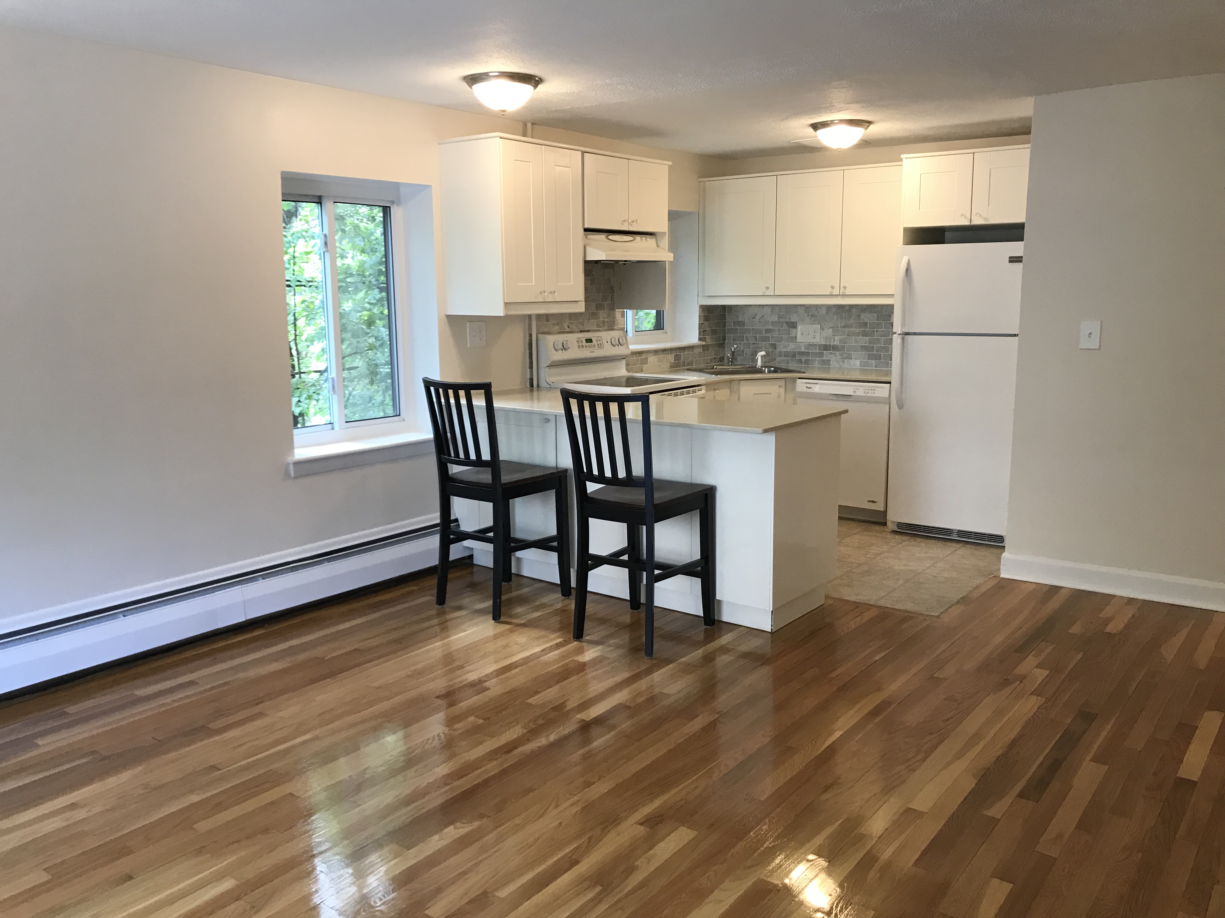 133 Beaconsfield Rd, Washington Square