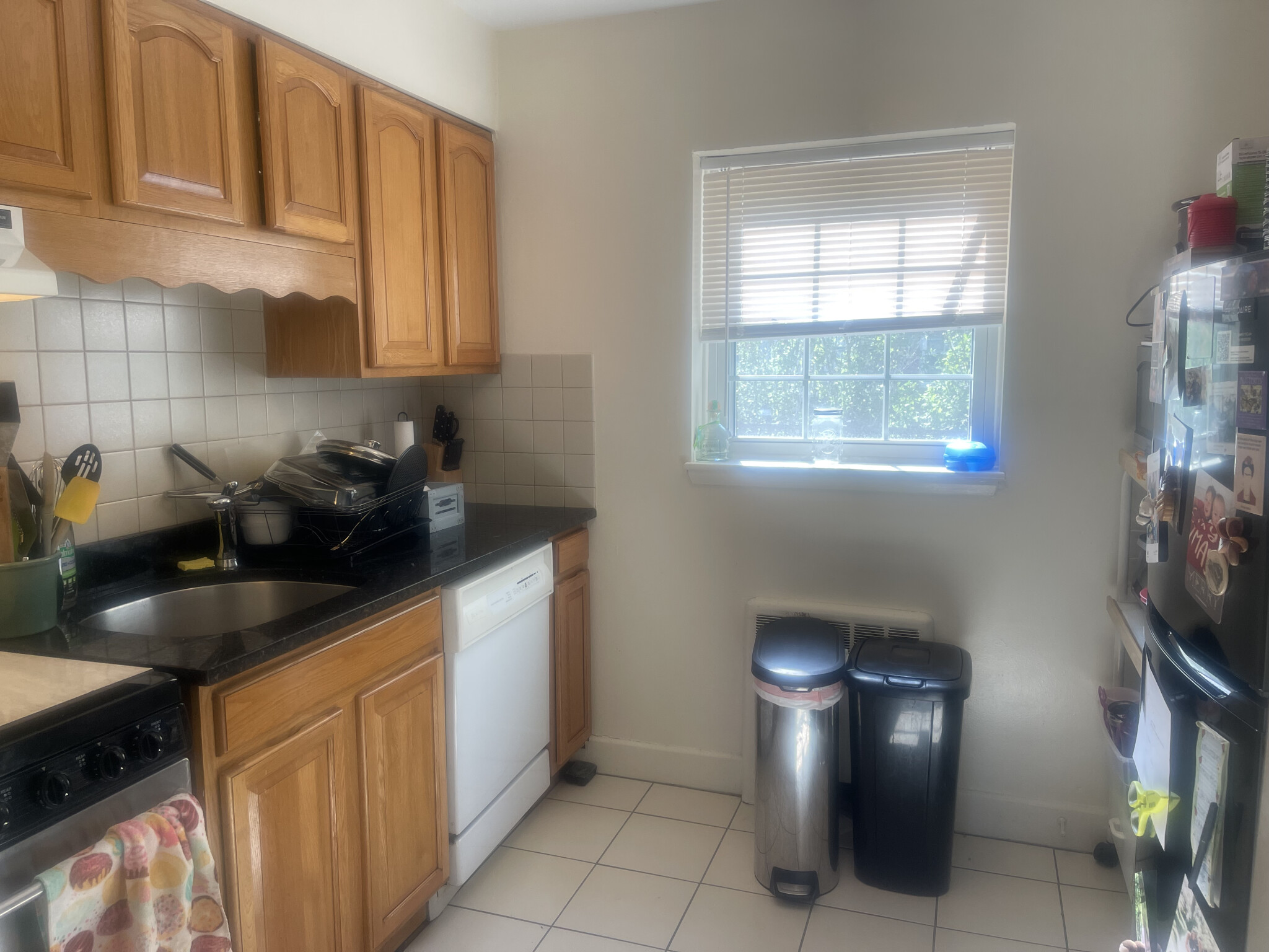 7 Charlesbank Rd, Newton