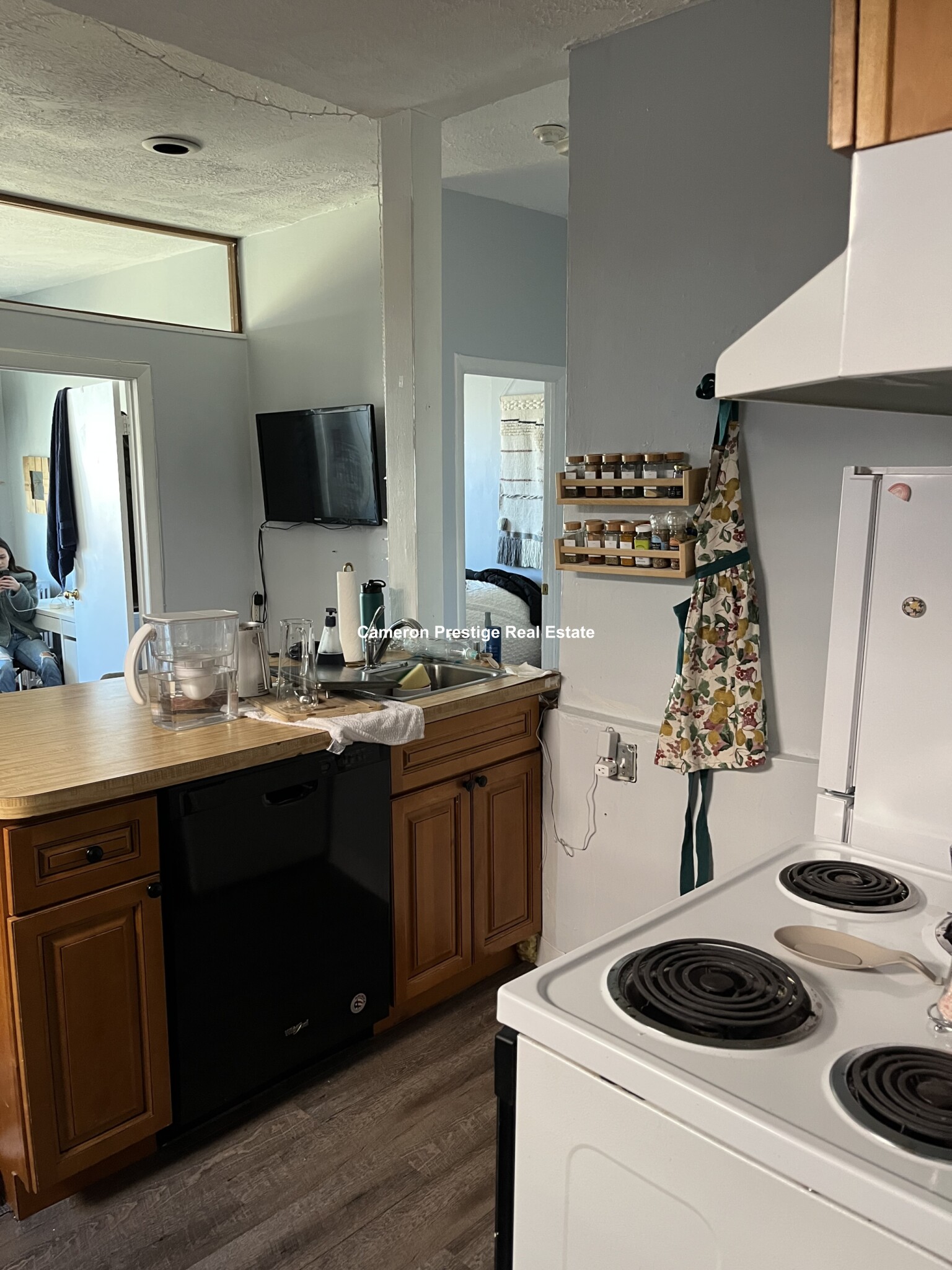 19 Aberdeen St, Fenway