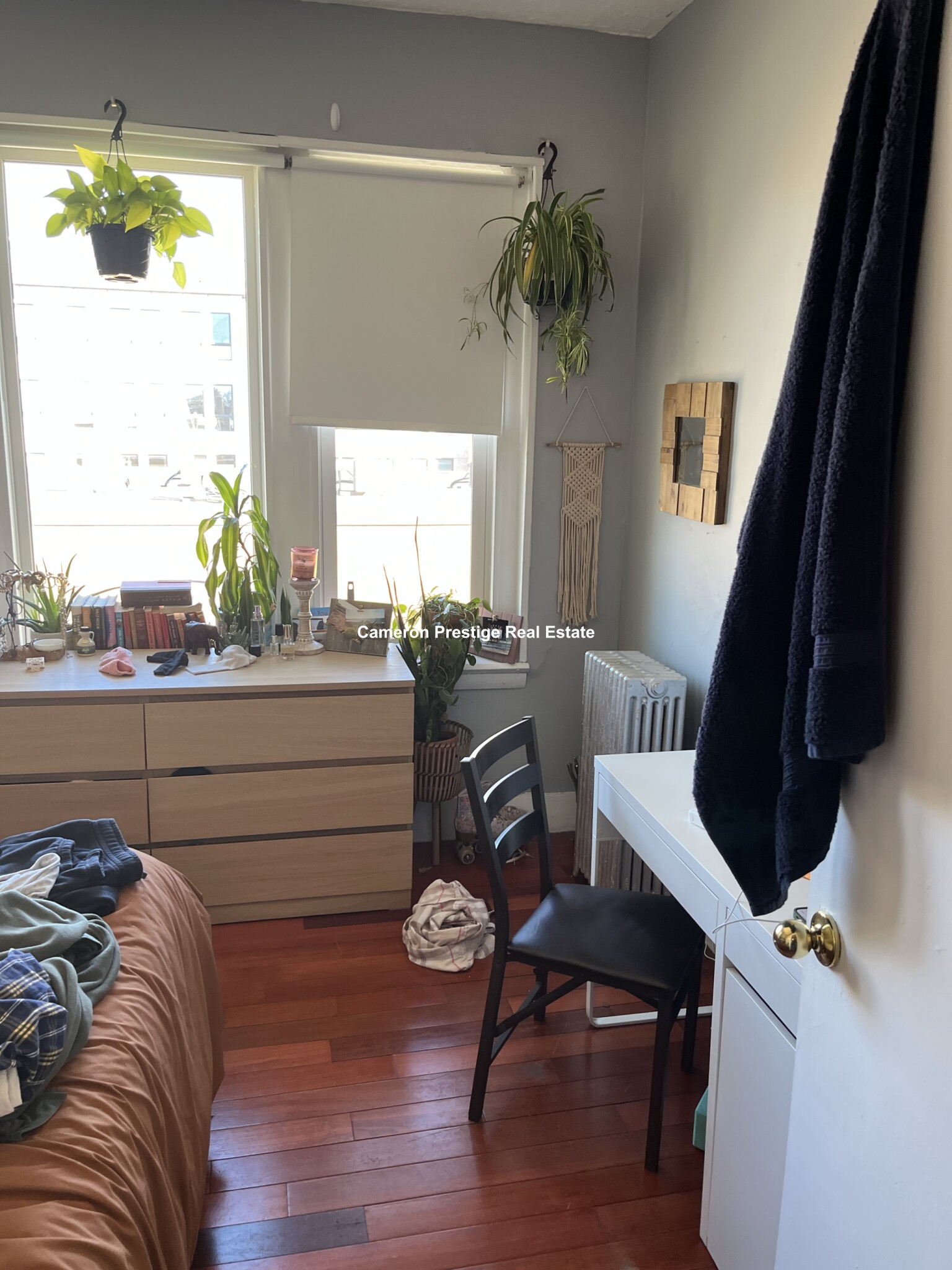 19 Aberdeen St, Fenway