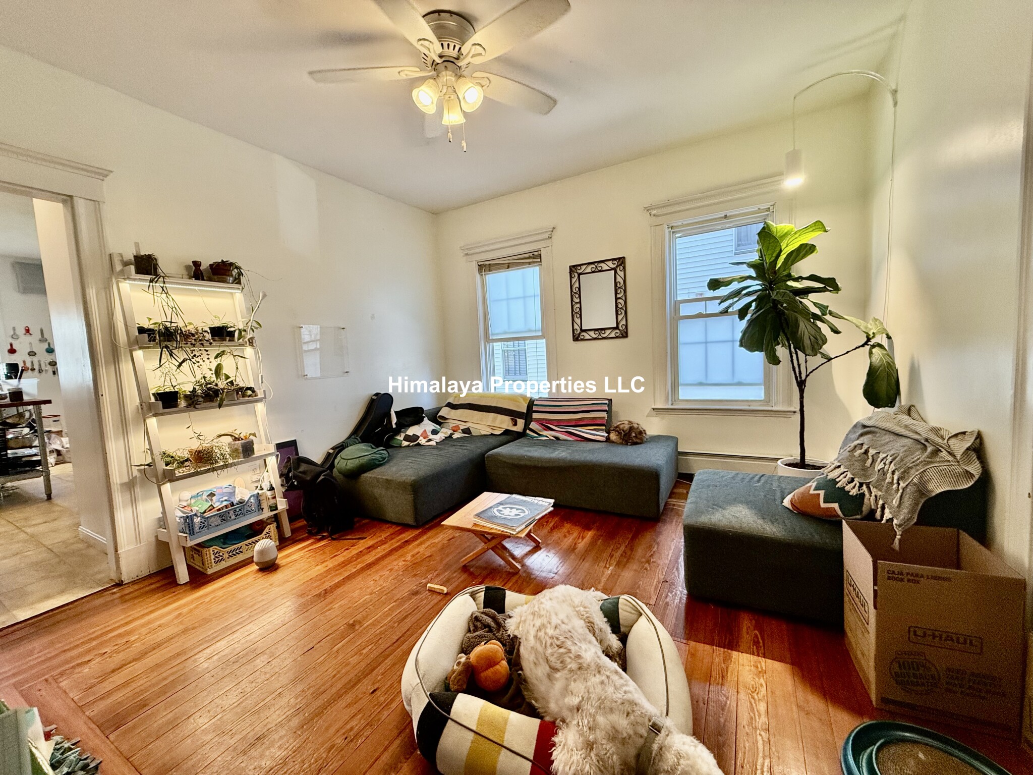 59 Ossipee Rd, Teele Square