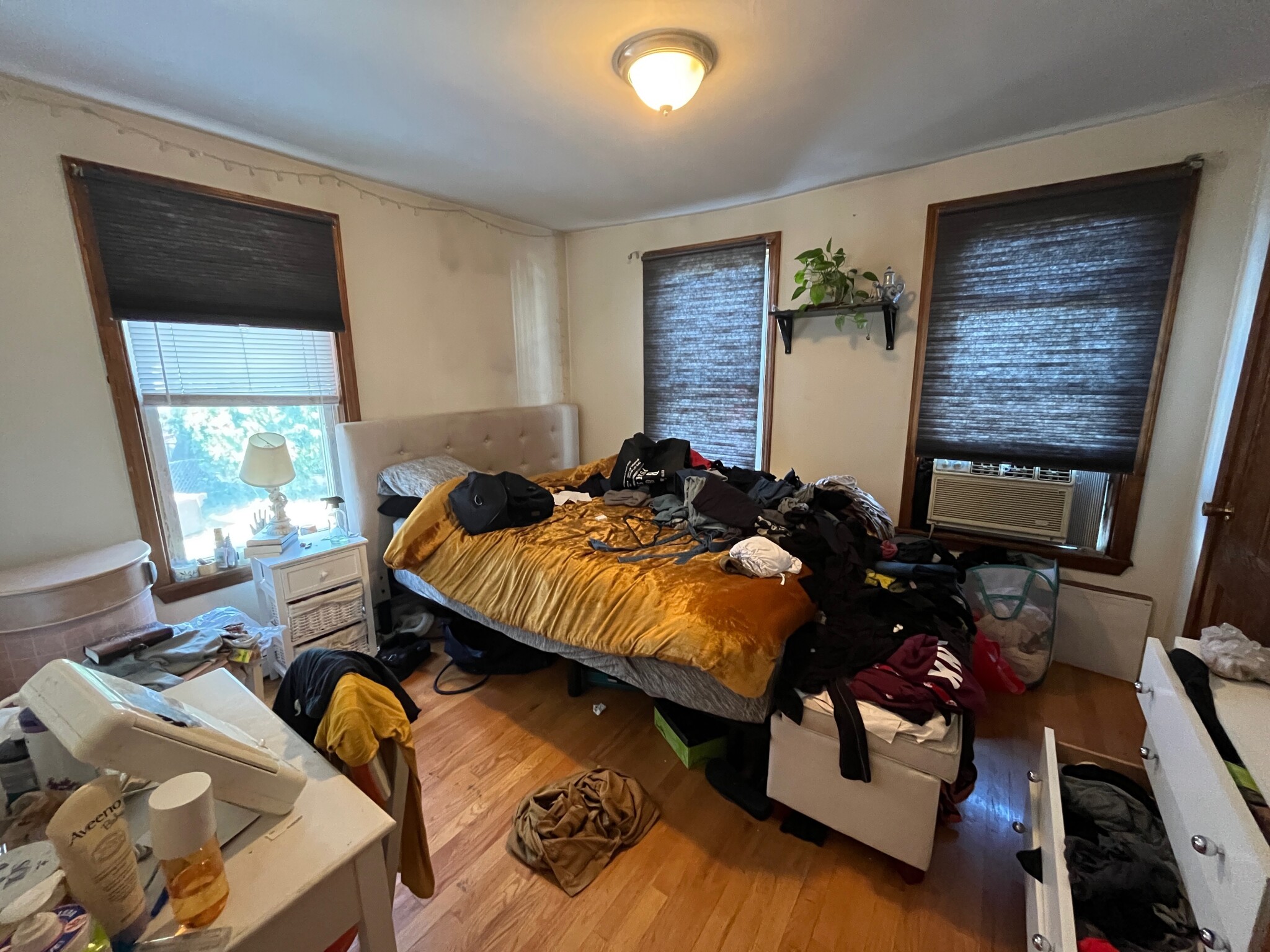 12 Abbey Rd, Allston