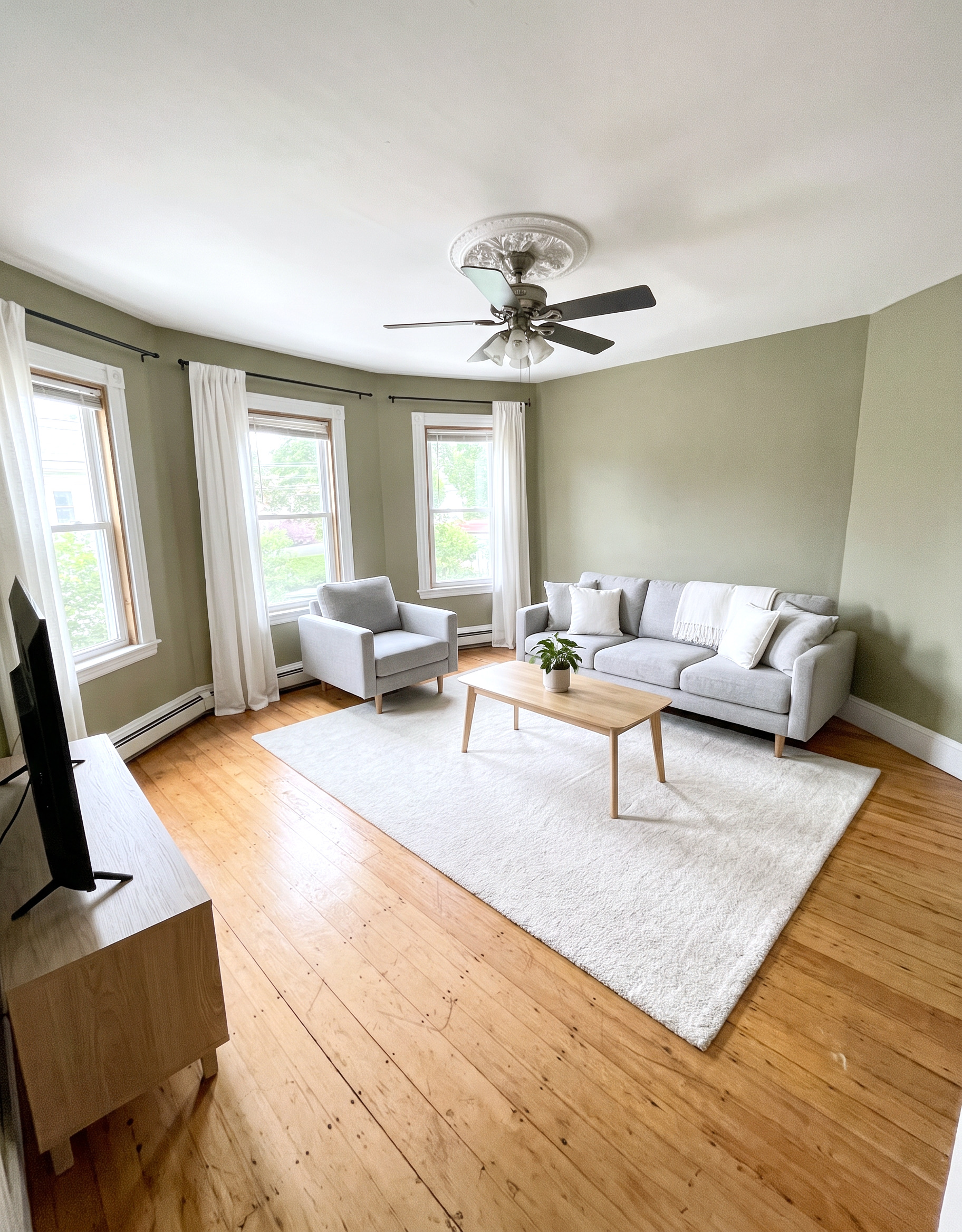 Pictures of  property for rent on Calumet St., Boston, MA 02120