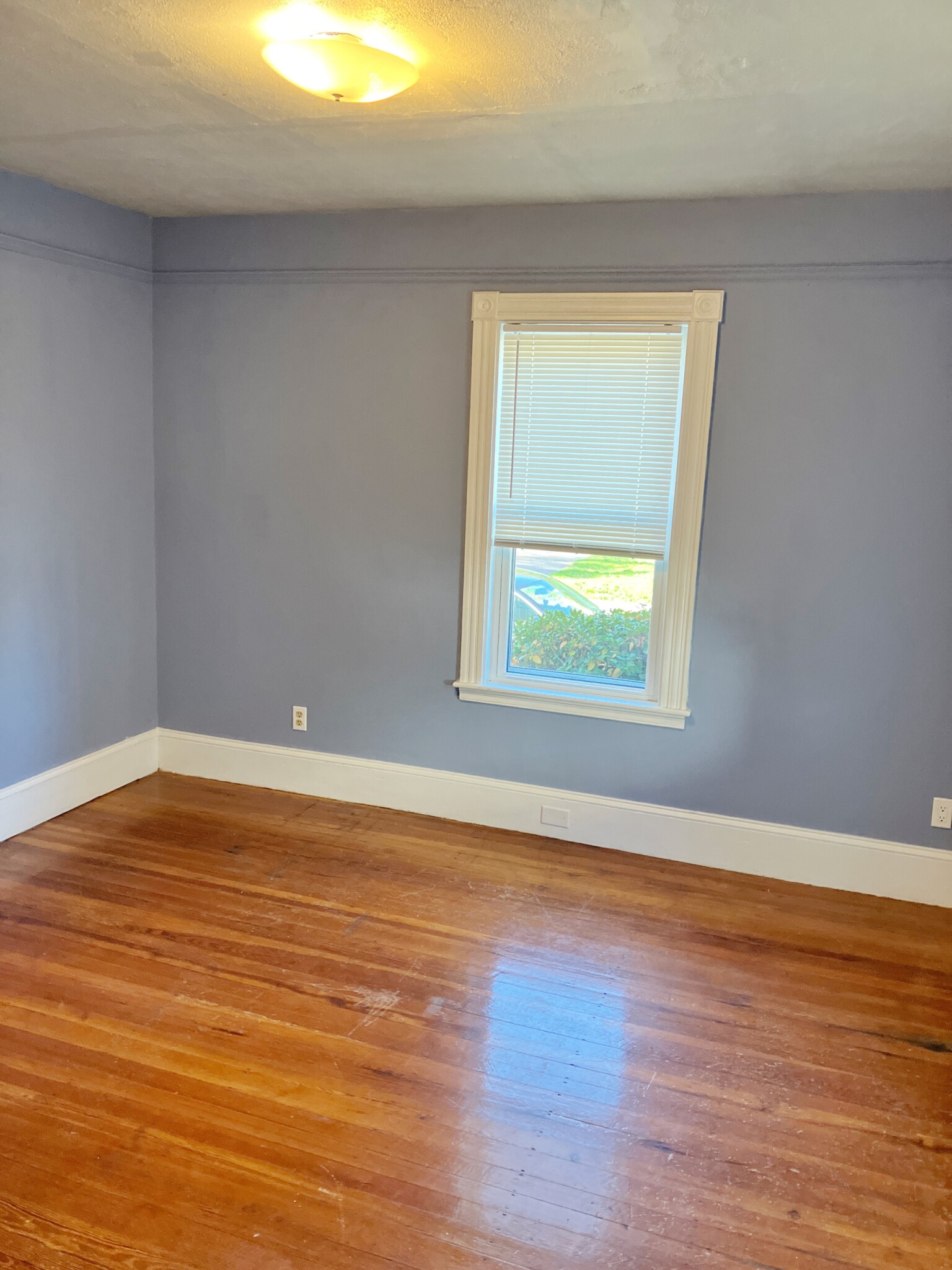 25 Thistle Ave, Milton