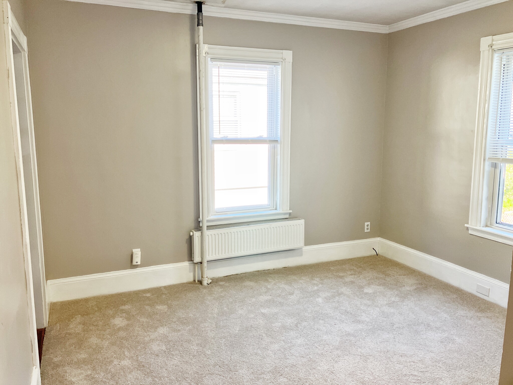 25 Thistle Ave, Milton