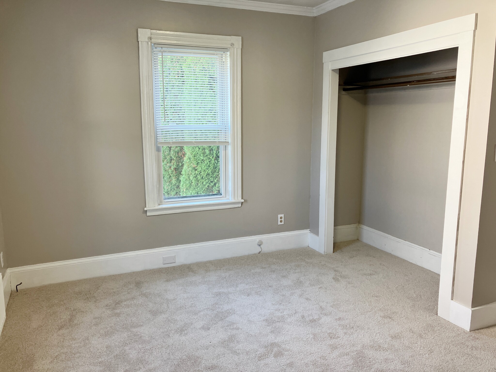 25 Thistle Ave, Milton