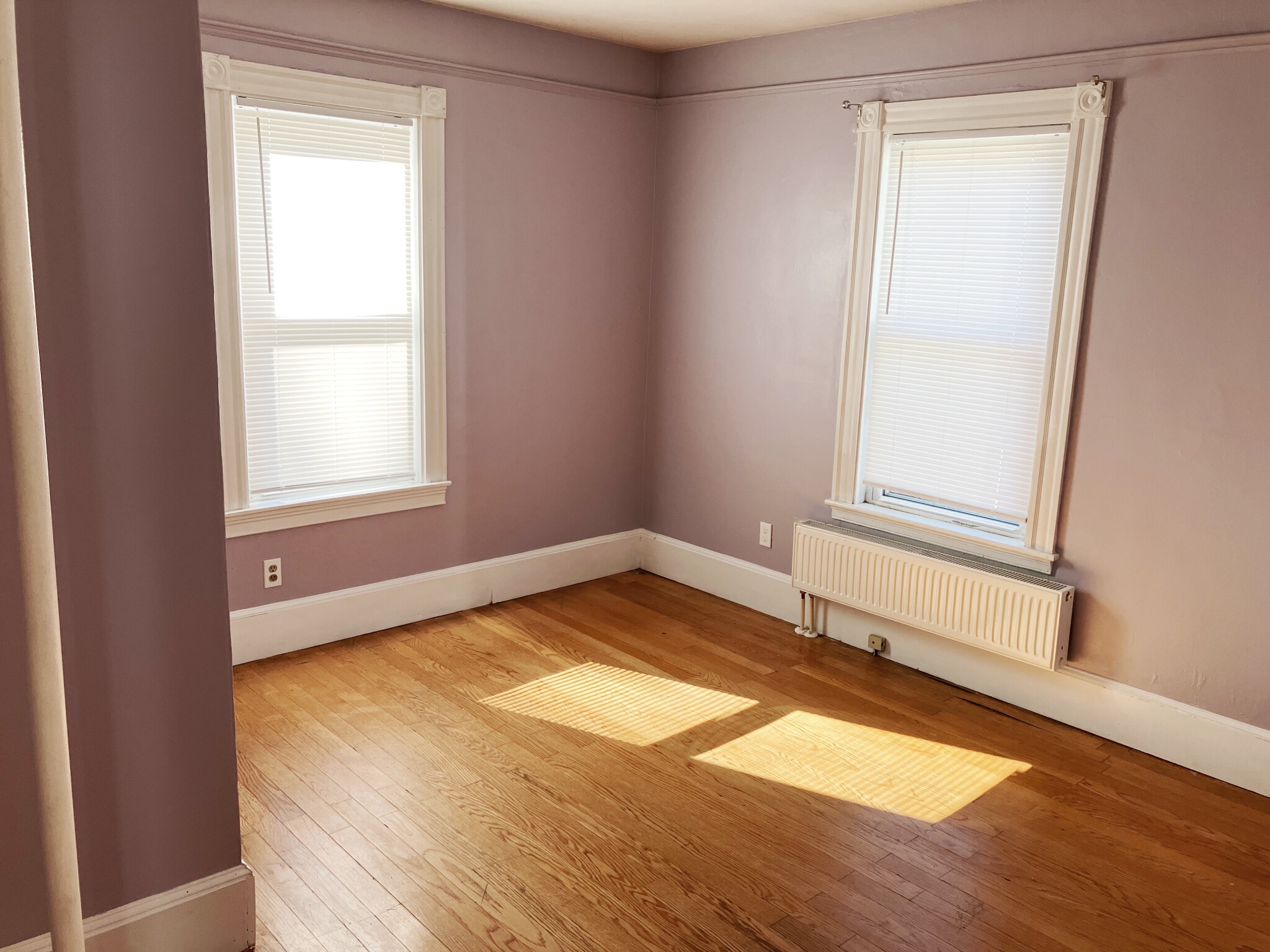 25 Thistle Ave, Milton