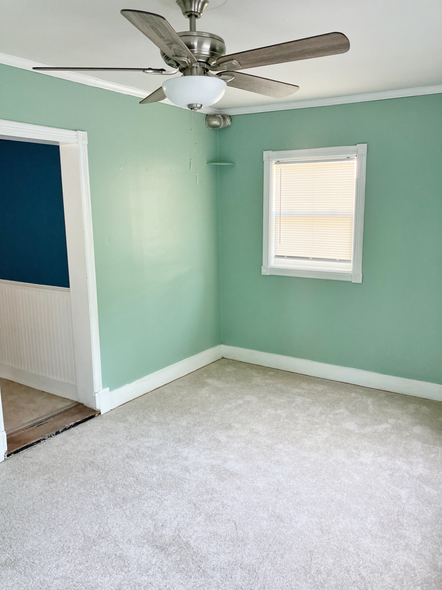 25 Thistle Ave, Milton