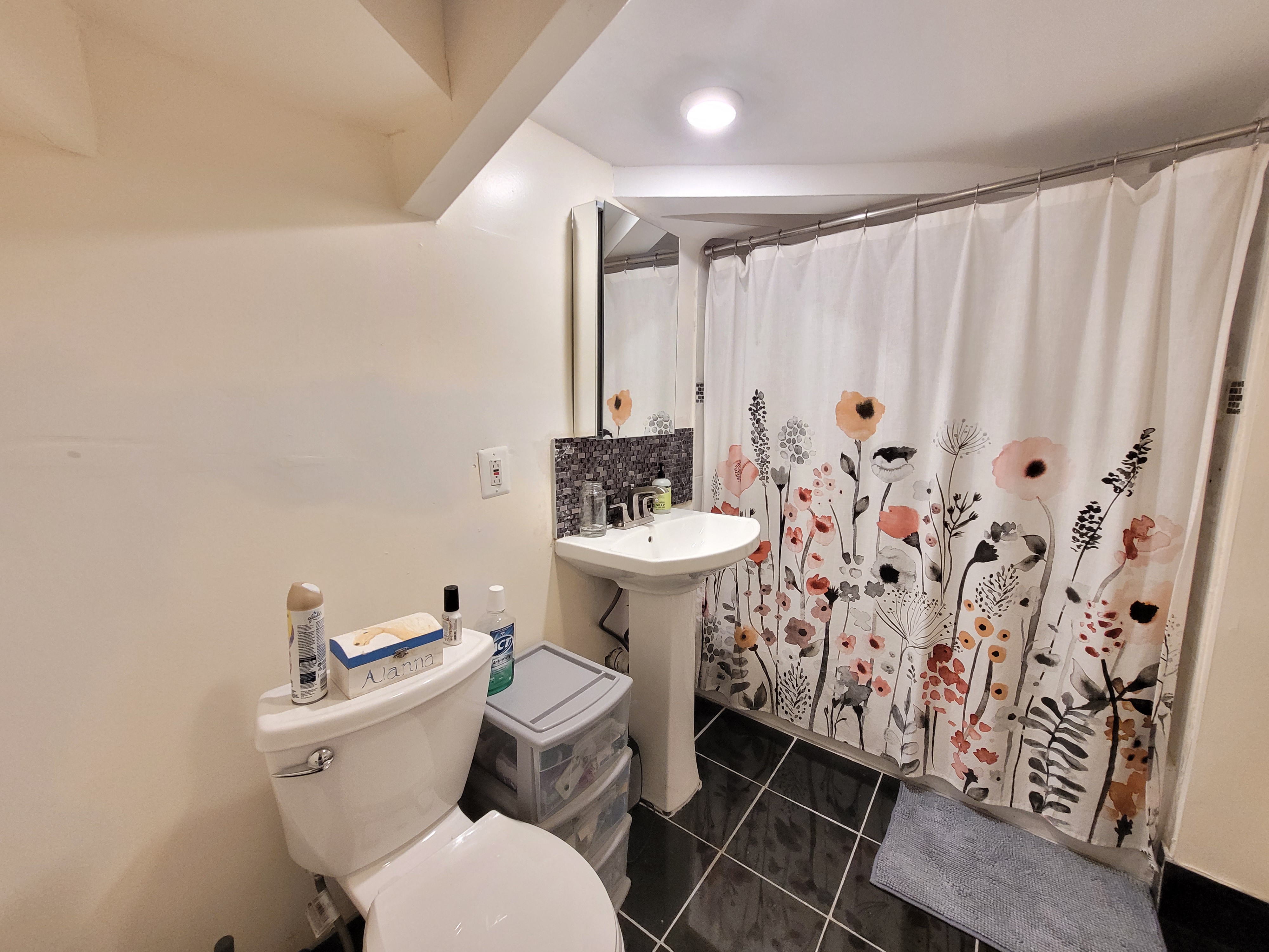 3 Mark St, Jamaica Plain