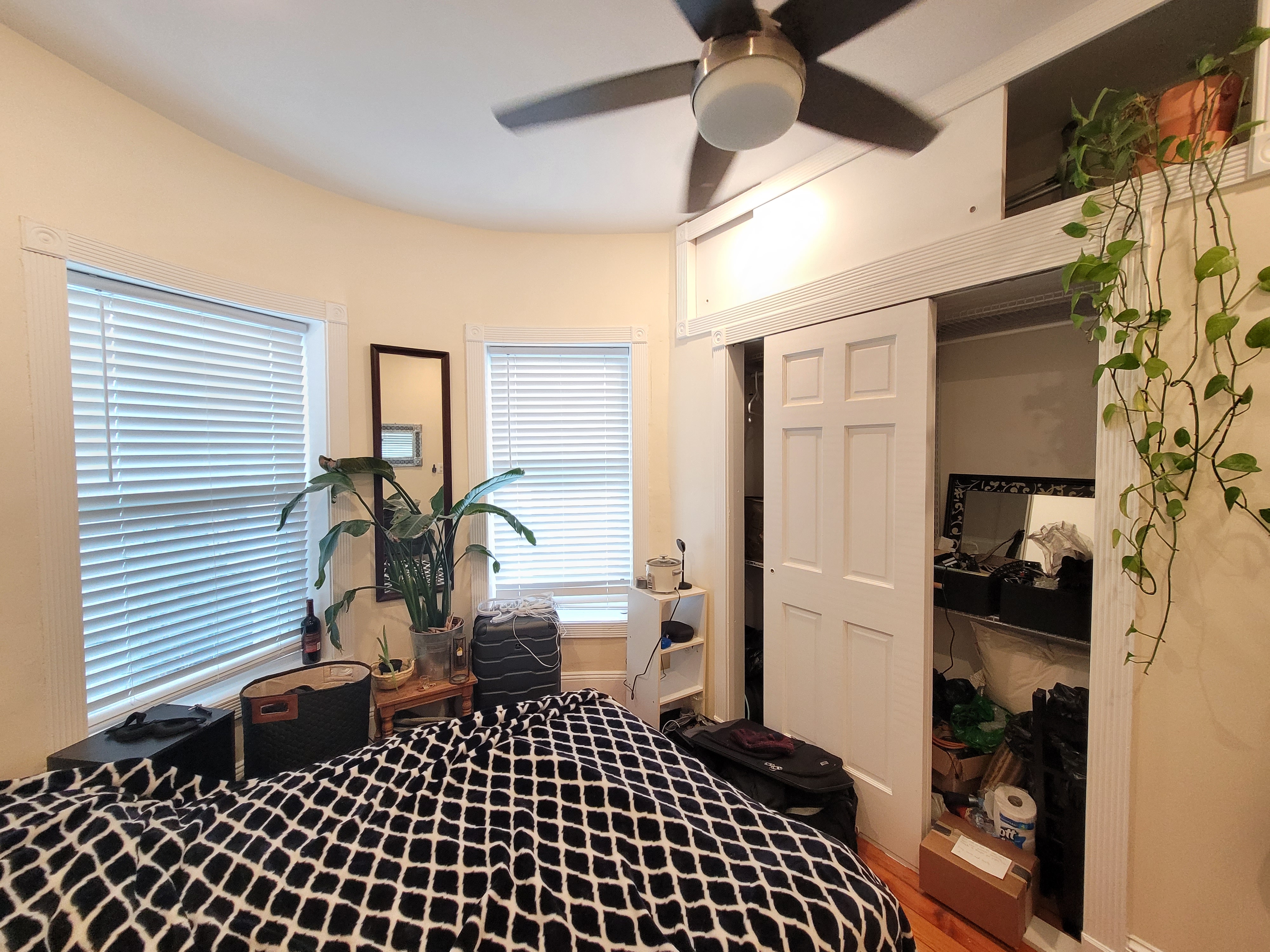 7 Mark St, Jamaica Plain