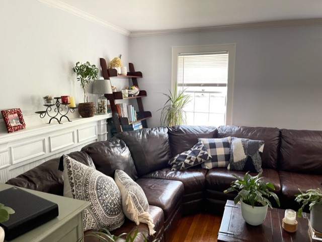 80 Decker St, Milton