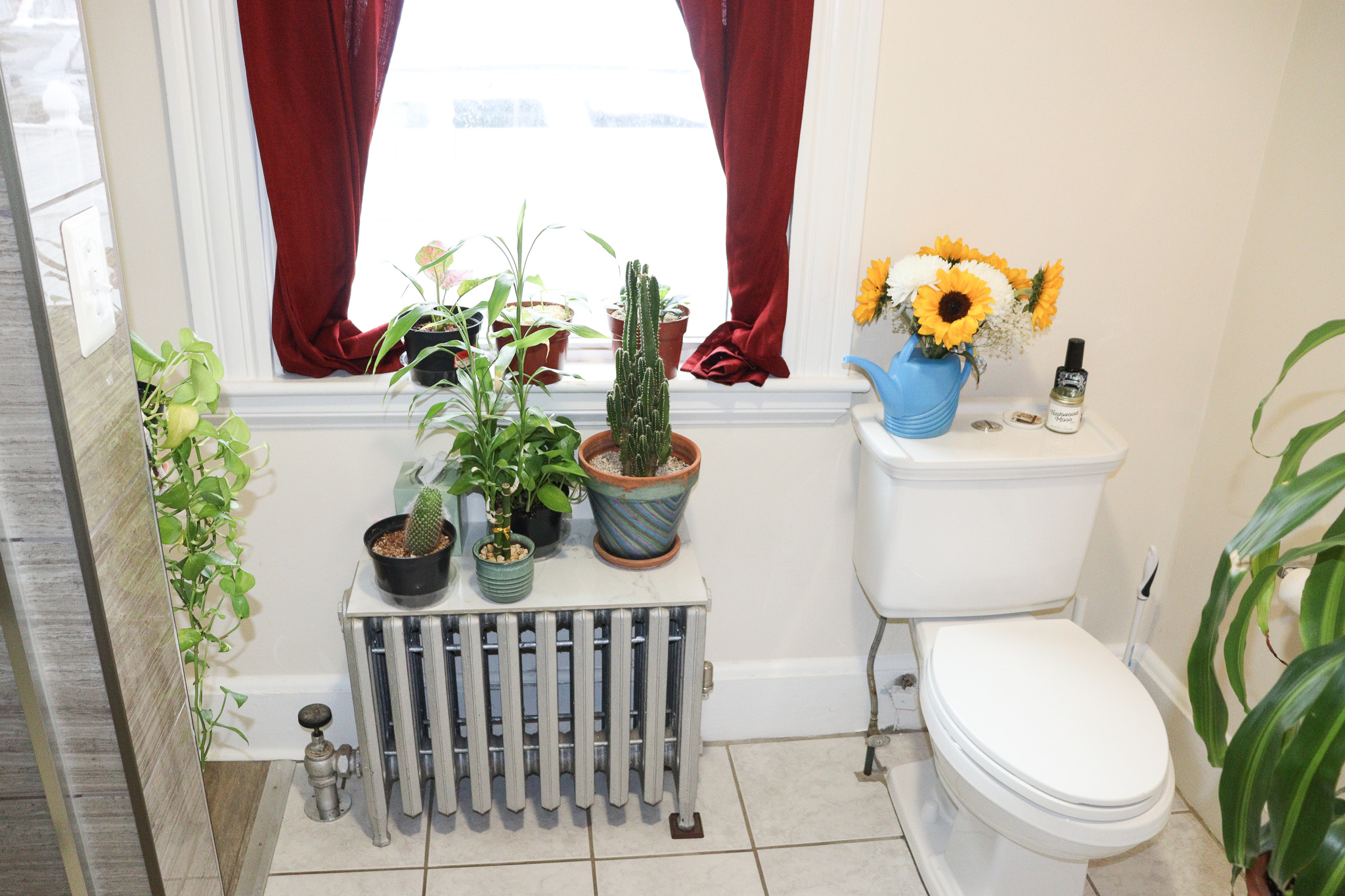 46 River St, Braintree