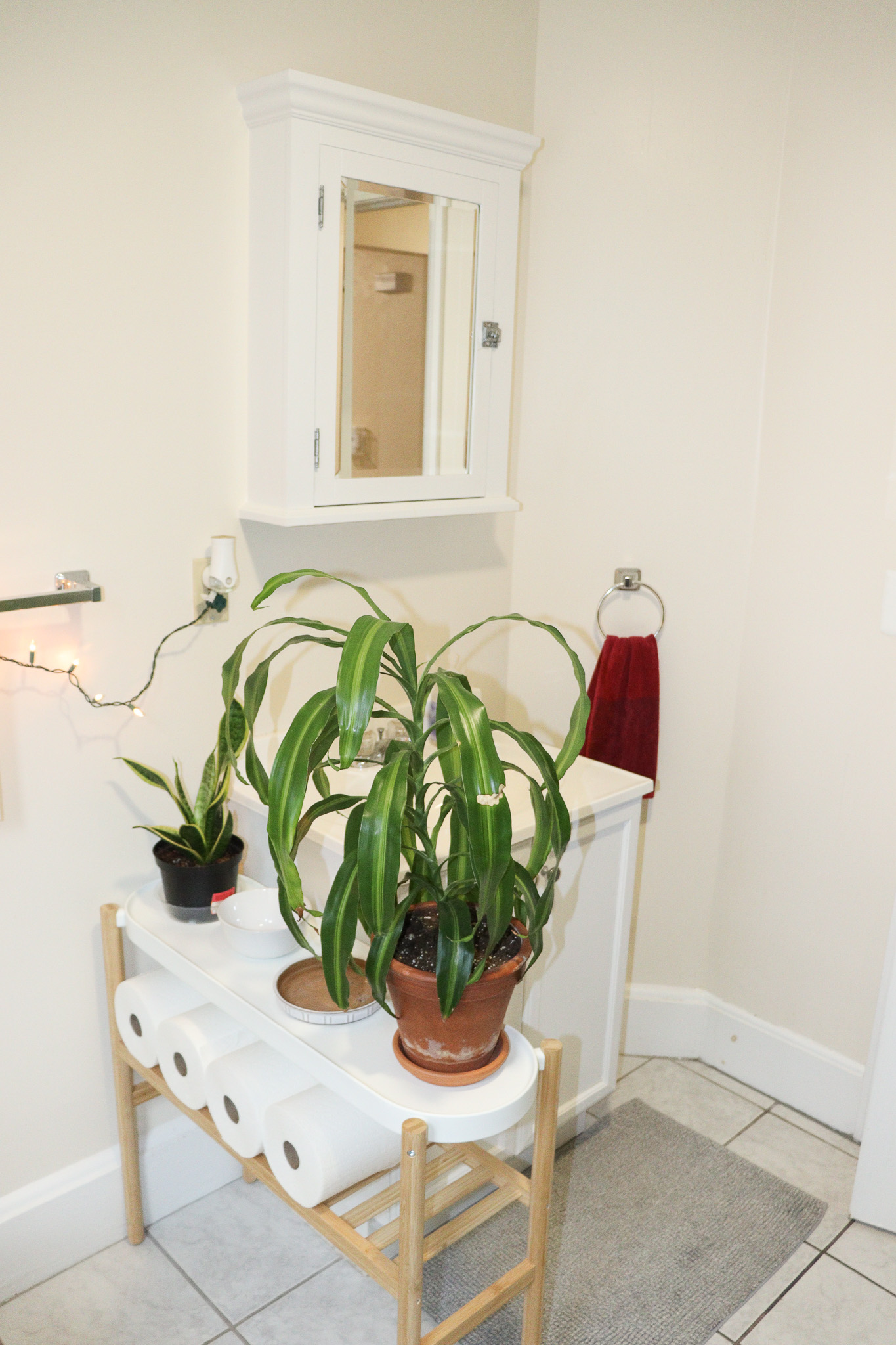 46 River St, Braintree