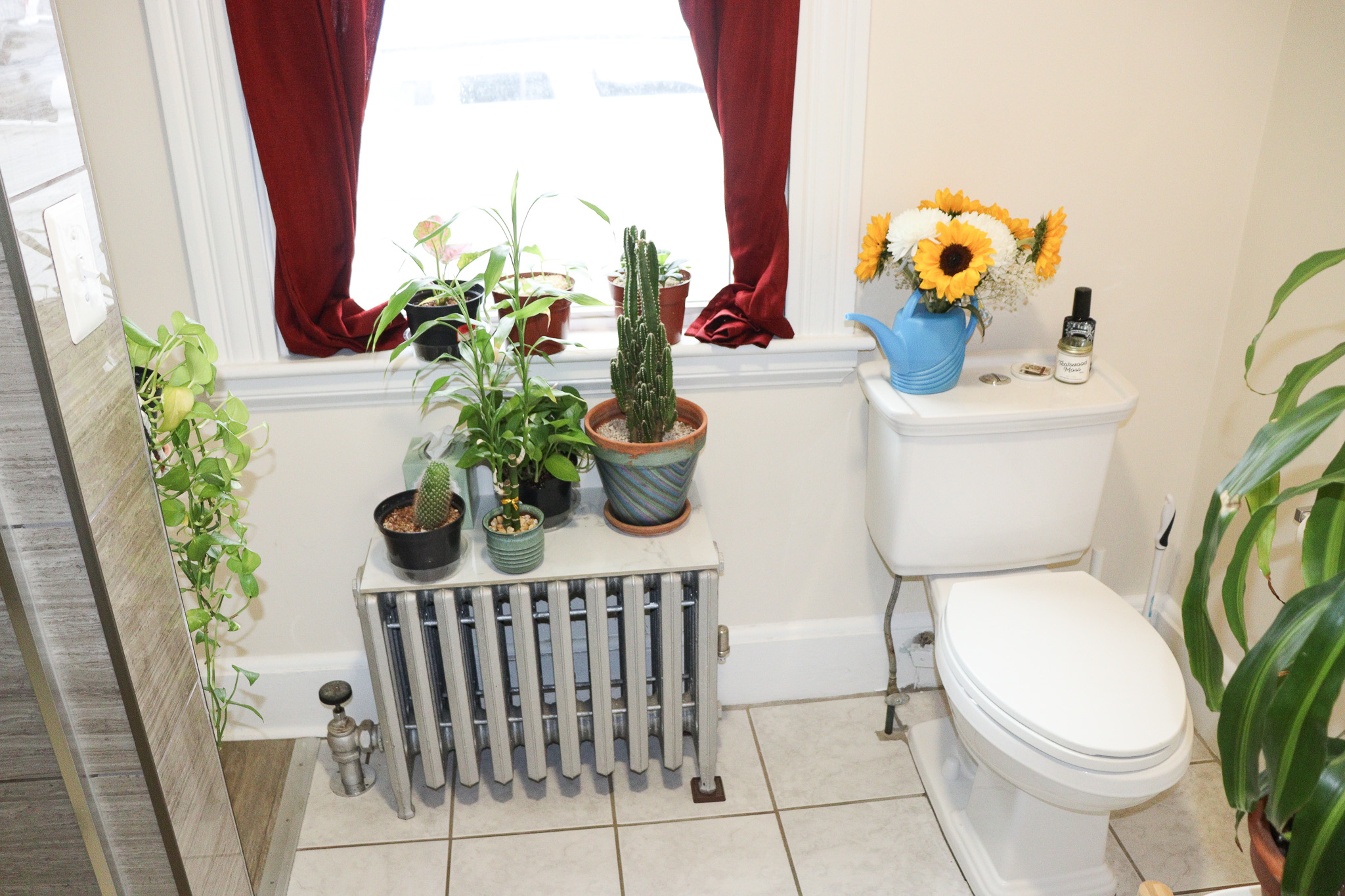 46 River St, Braintree