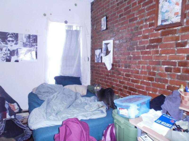 https://ygl-photos.s3.us-west-004.backblazeb2.com/1306705.jpg