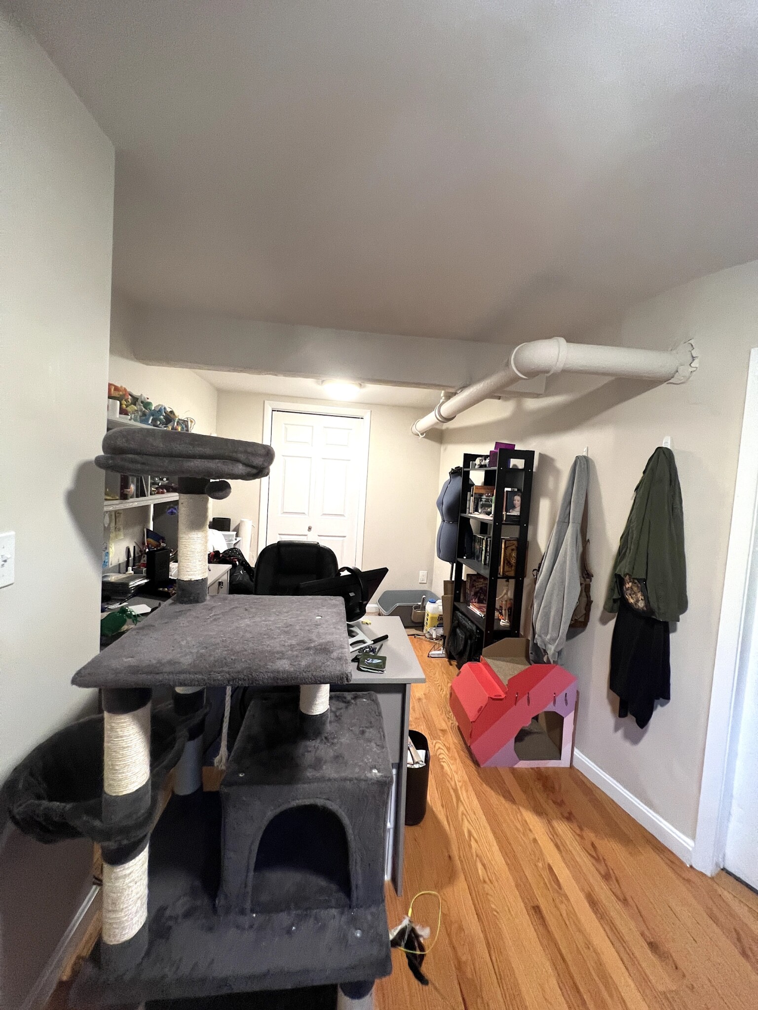 3 Englewood Ave, Brighton