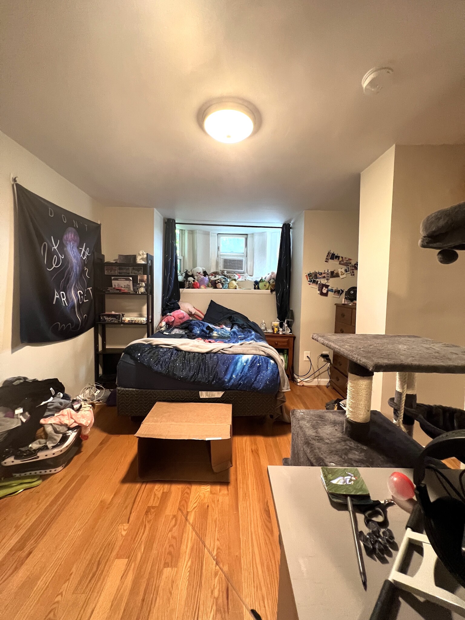 3 Englewood Ave, Brighton