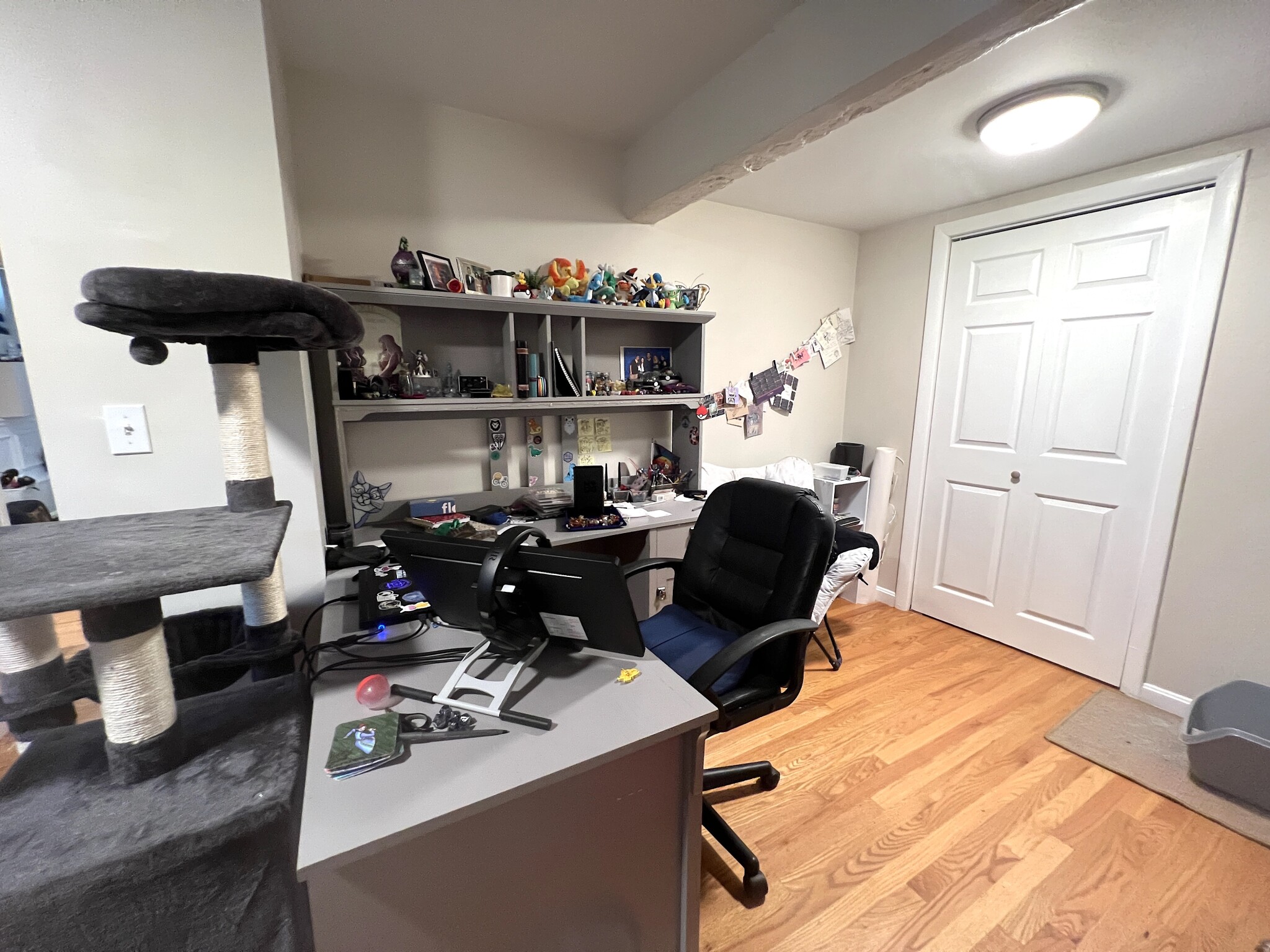 3 Englewood Ave, Brighton