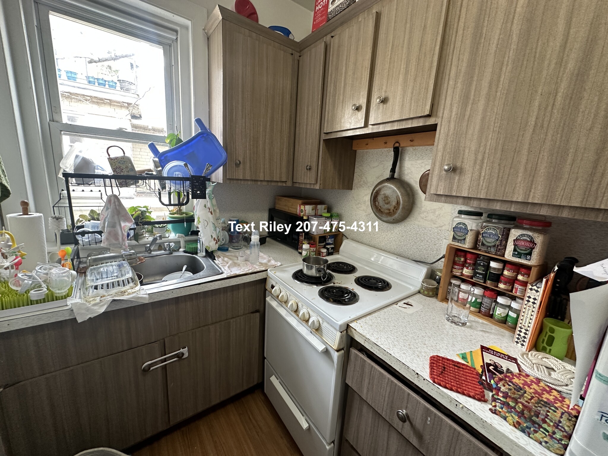 https://ygl-photos.s3.us-west-004.backblazeb2.com/13533W67feec0994e27.jpg