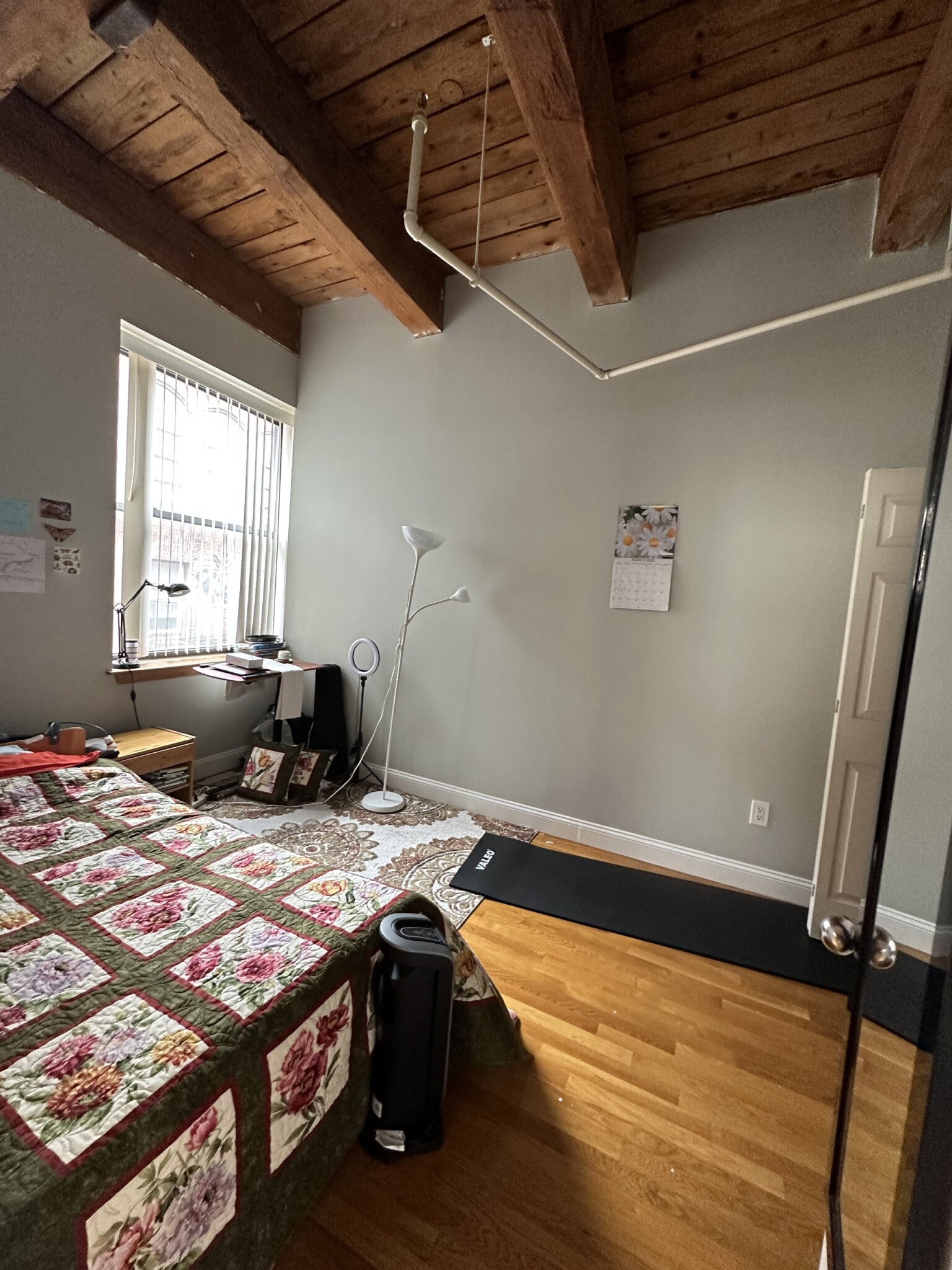 9 Knapp St, Chinatown