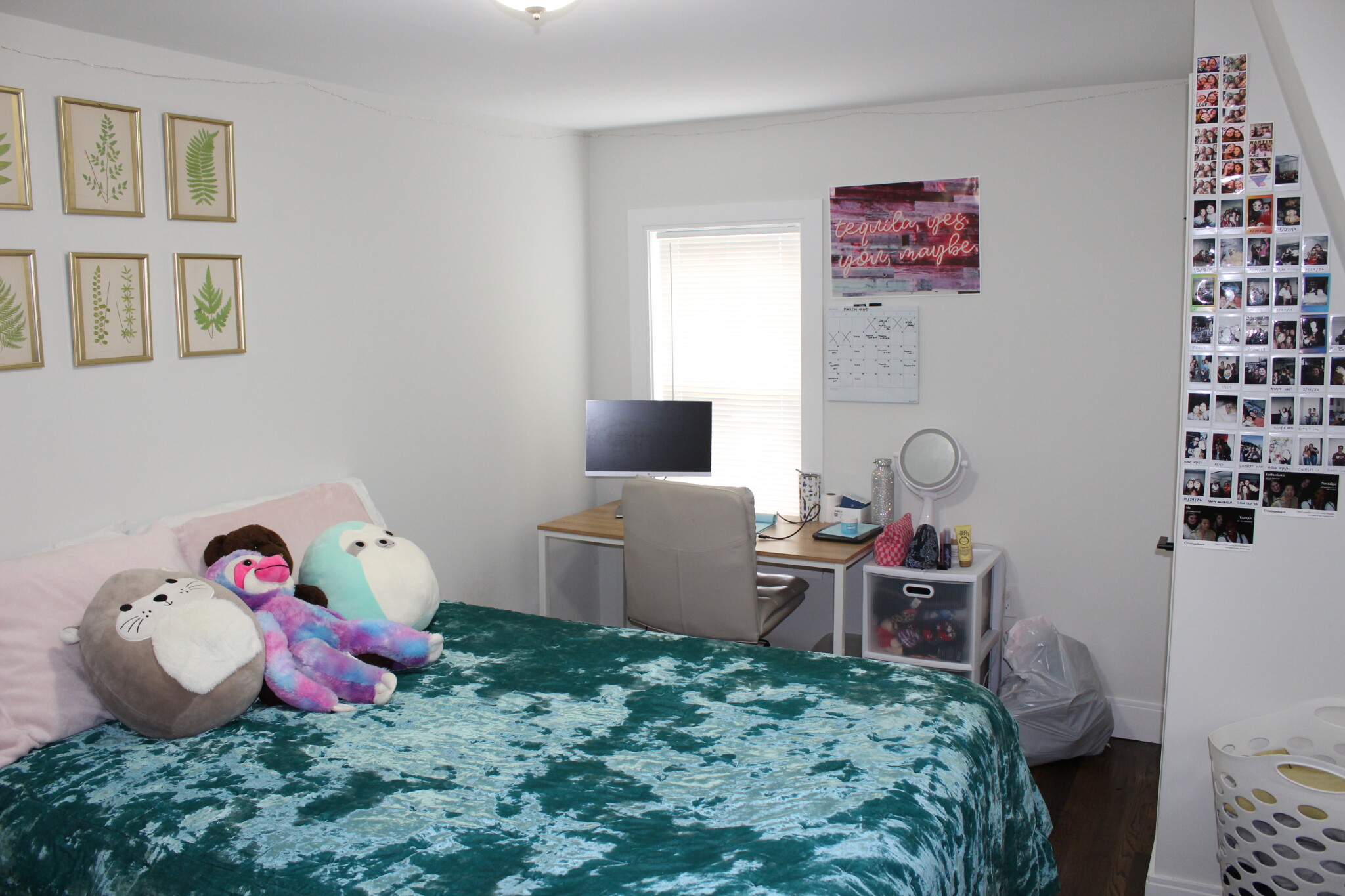 15 Pomeroy St, Allston