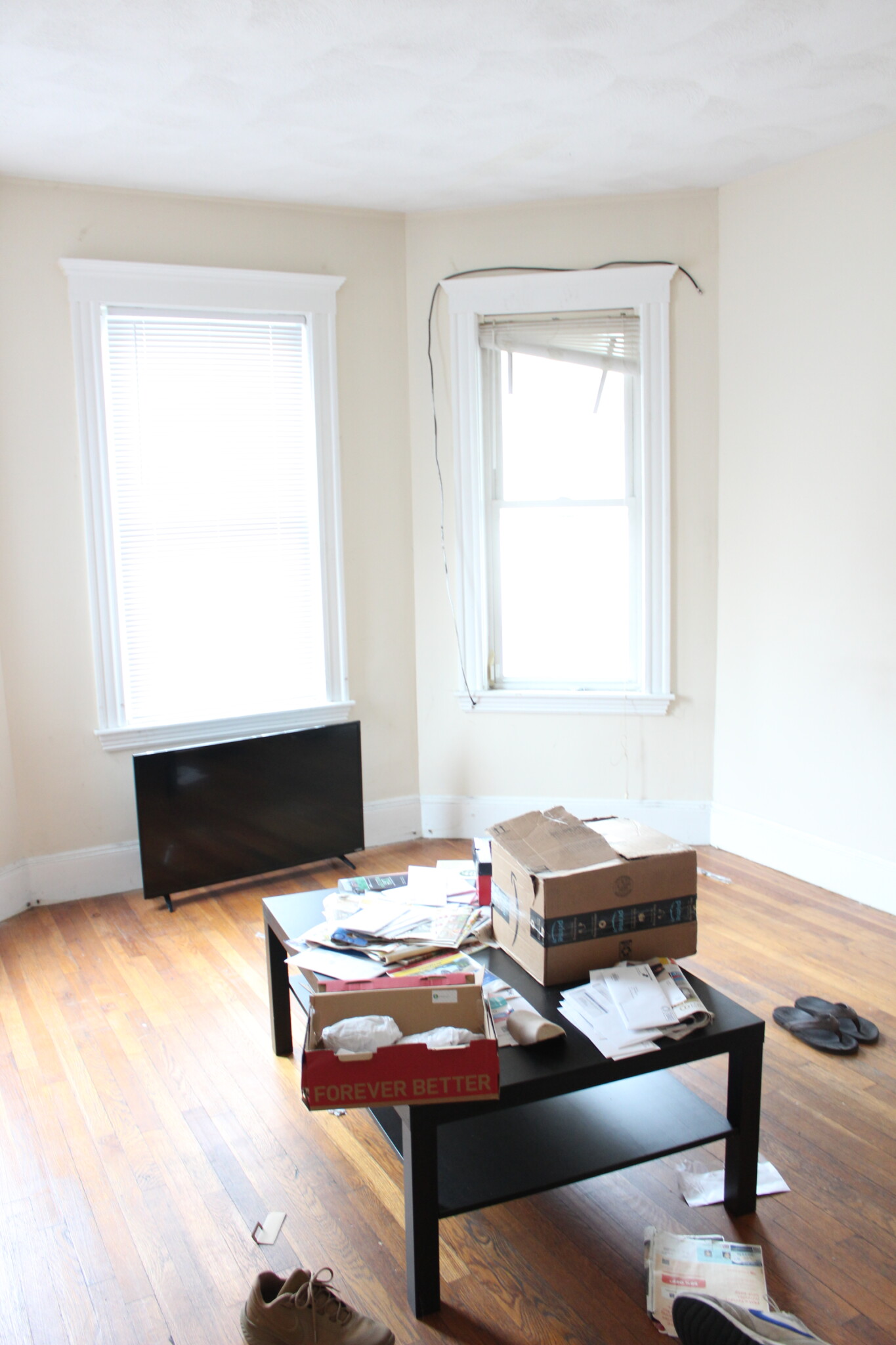 5 Harvard Ter, Allston