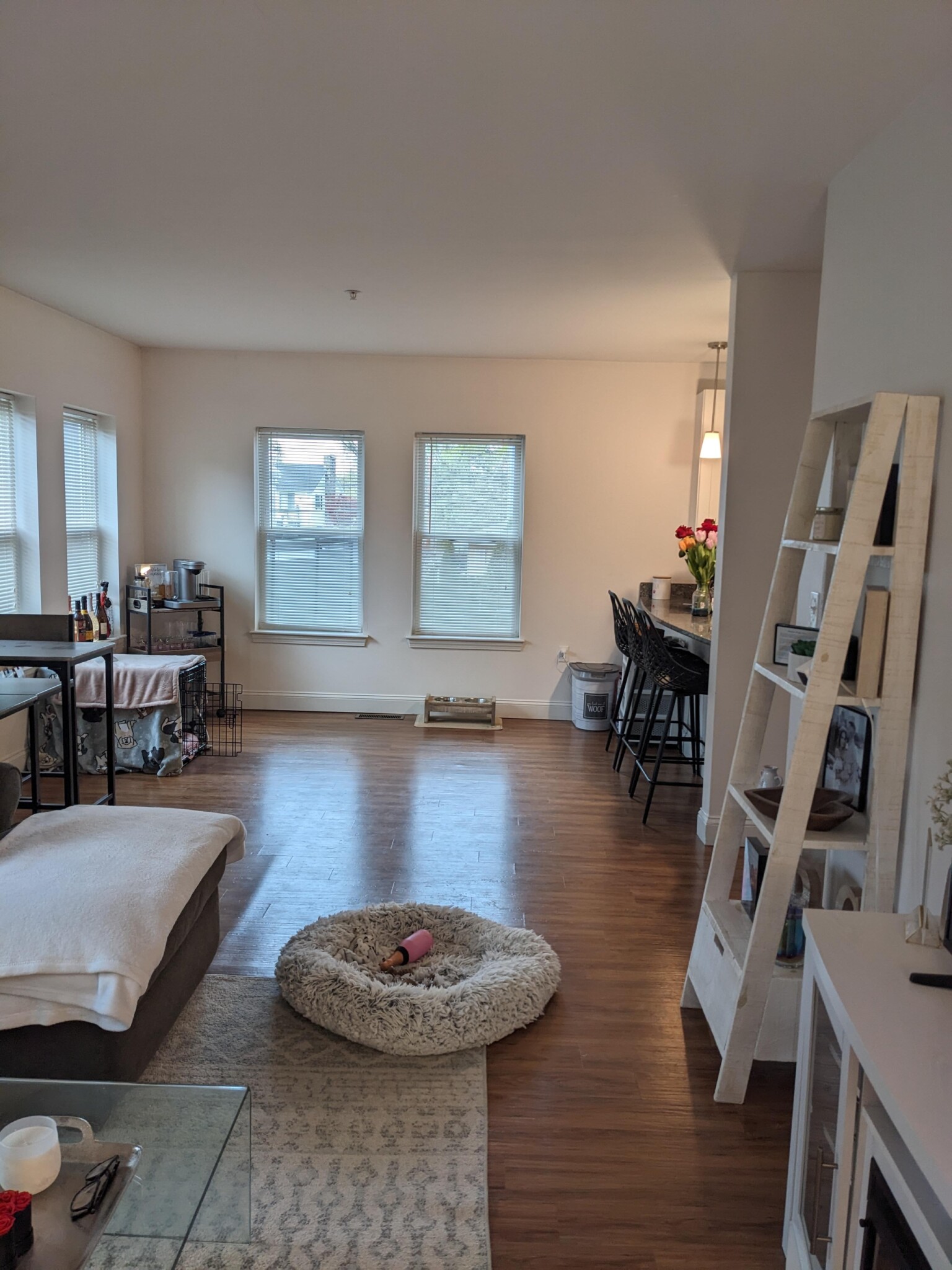 8 Dustin St, Brighton