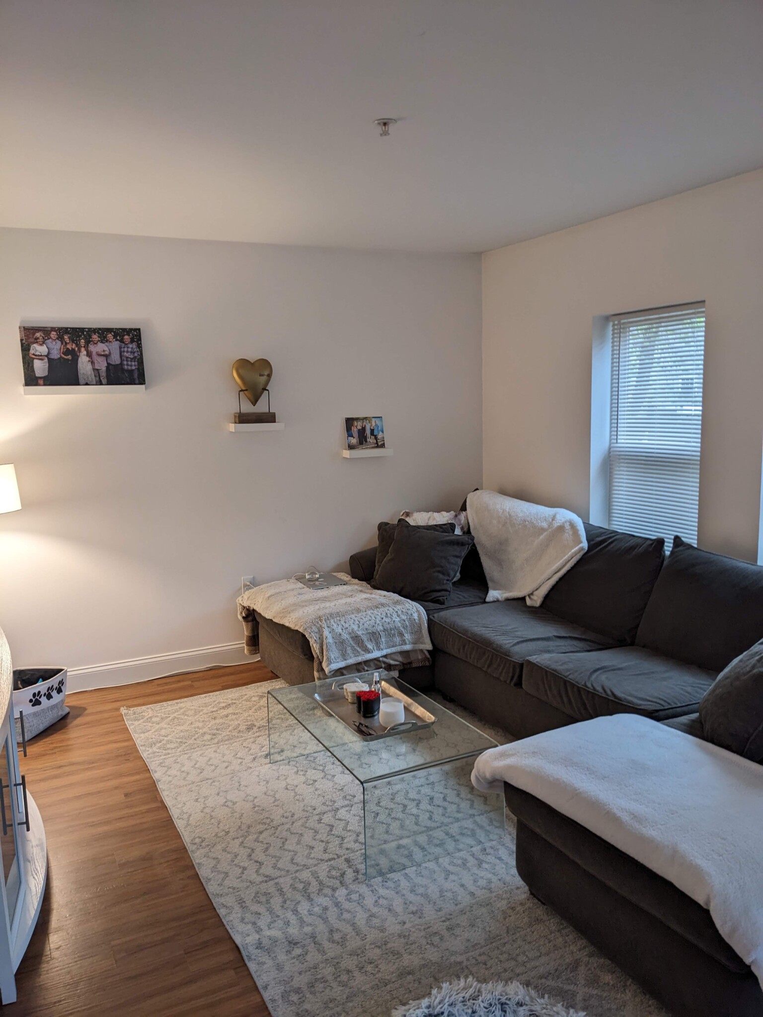 8 Dustin St, Brighton