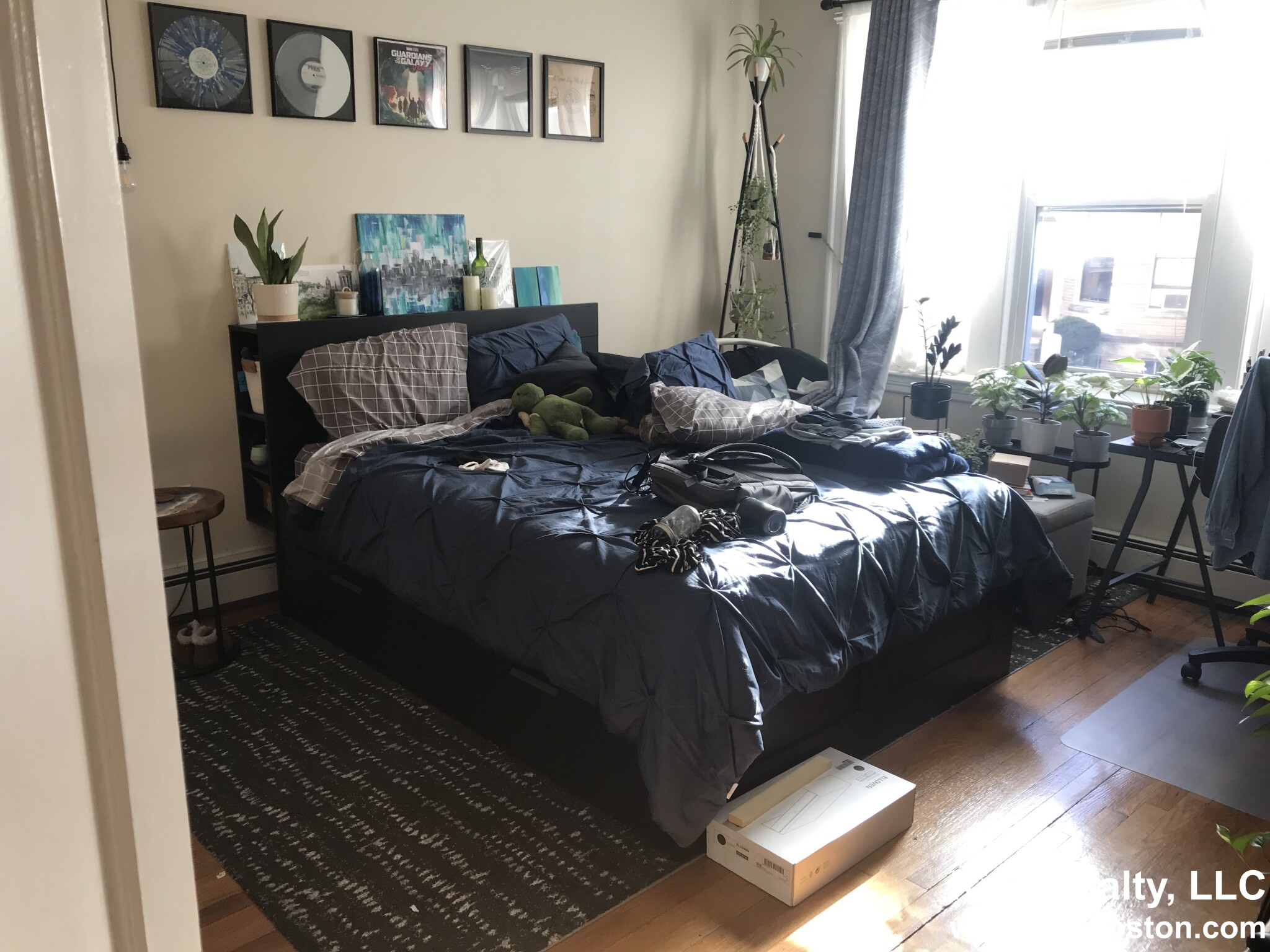 45 Orkney Rd, Brighton