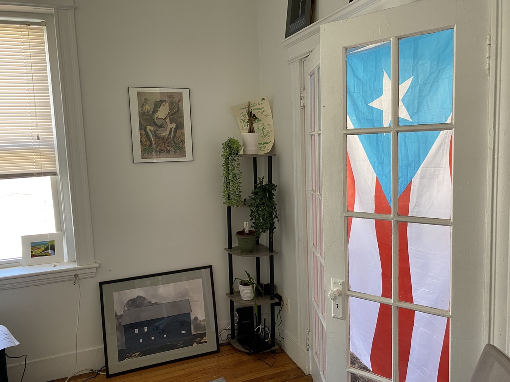 4 Price Rd, Brighton