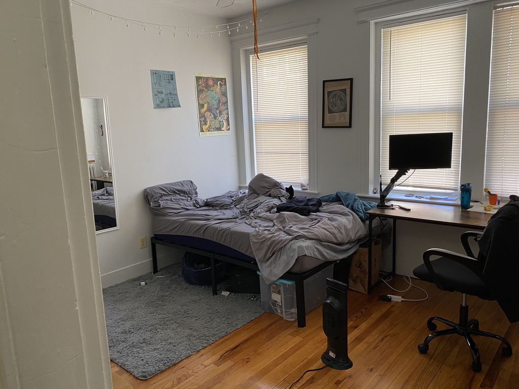 4 Price Rd, Brighton