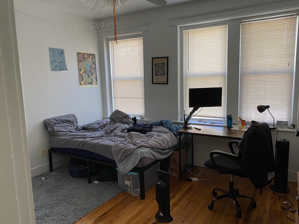 4 Price Rd, Brighton