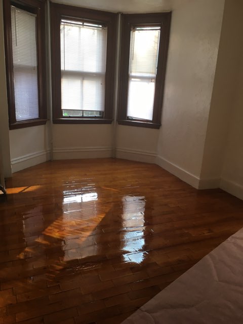 4 Adella Pl, Brighton