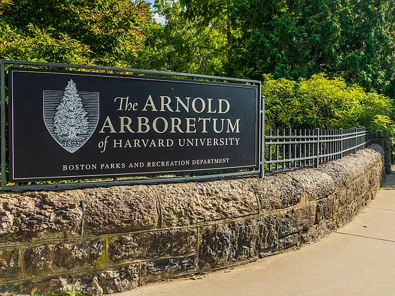 465 Arborway, Jamaica Plain