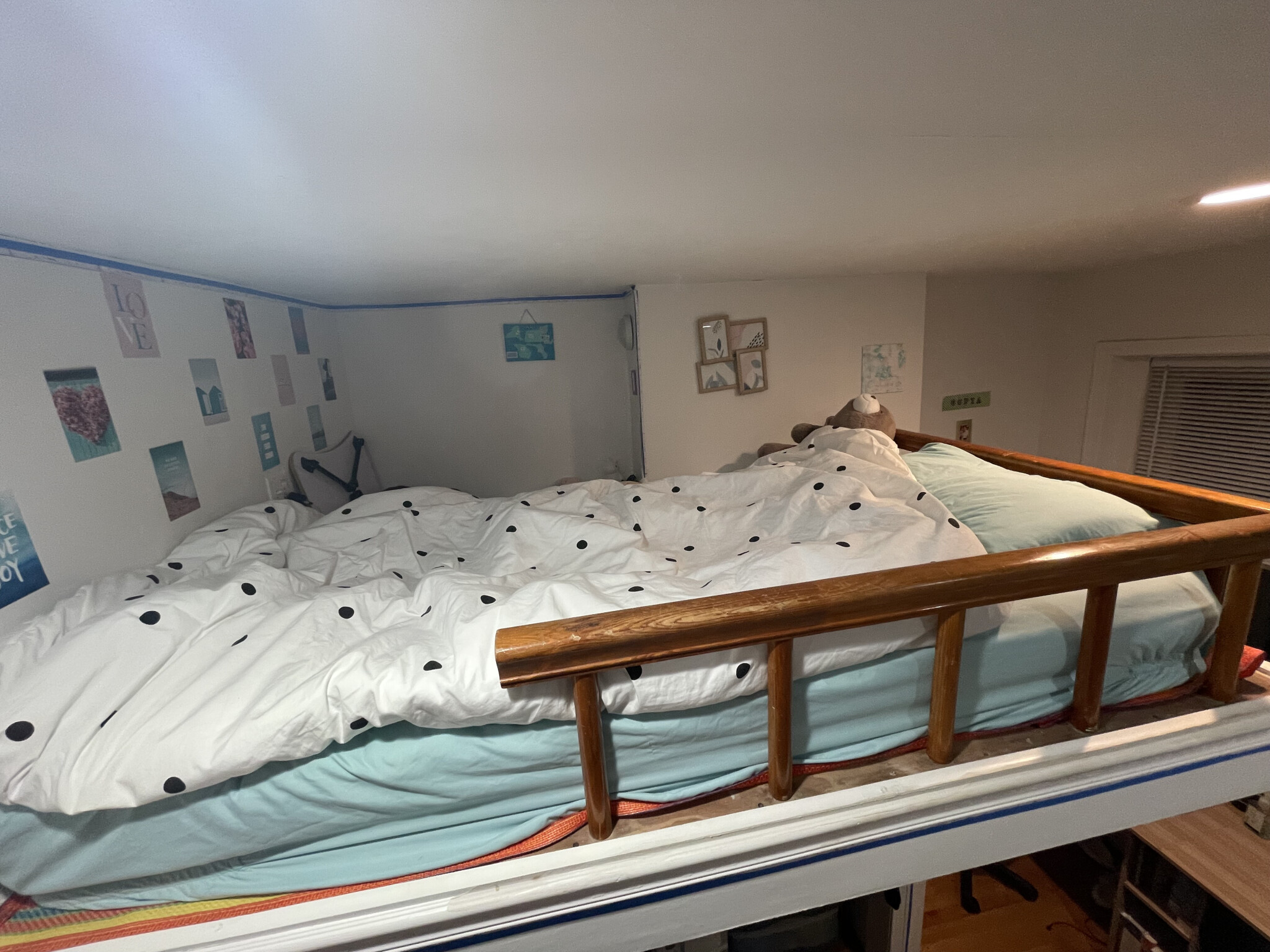 17 Aberdeen St, Fenway