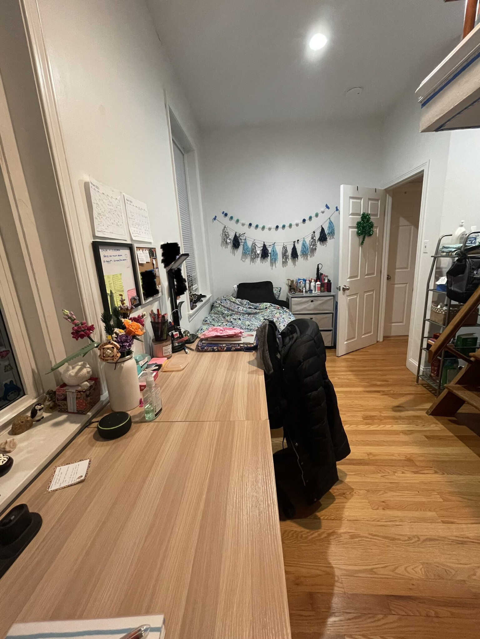 17 Aberdeen St, Fenway