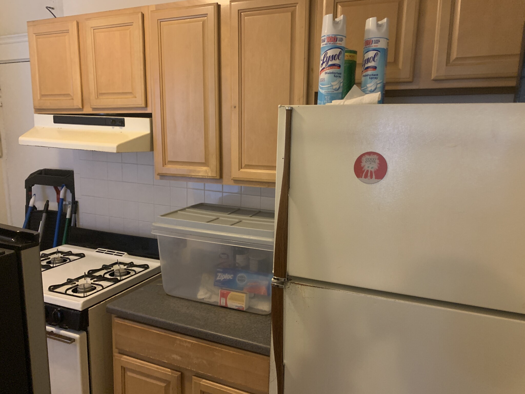 248 Kelton St, Allston