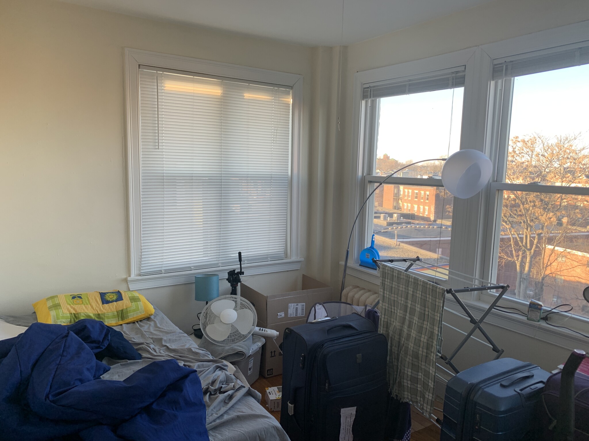 244 Kelton St, Brighton