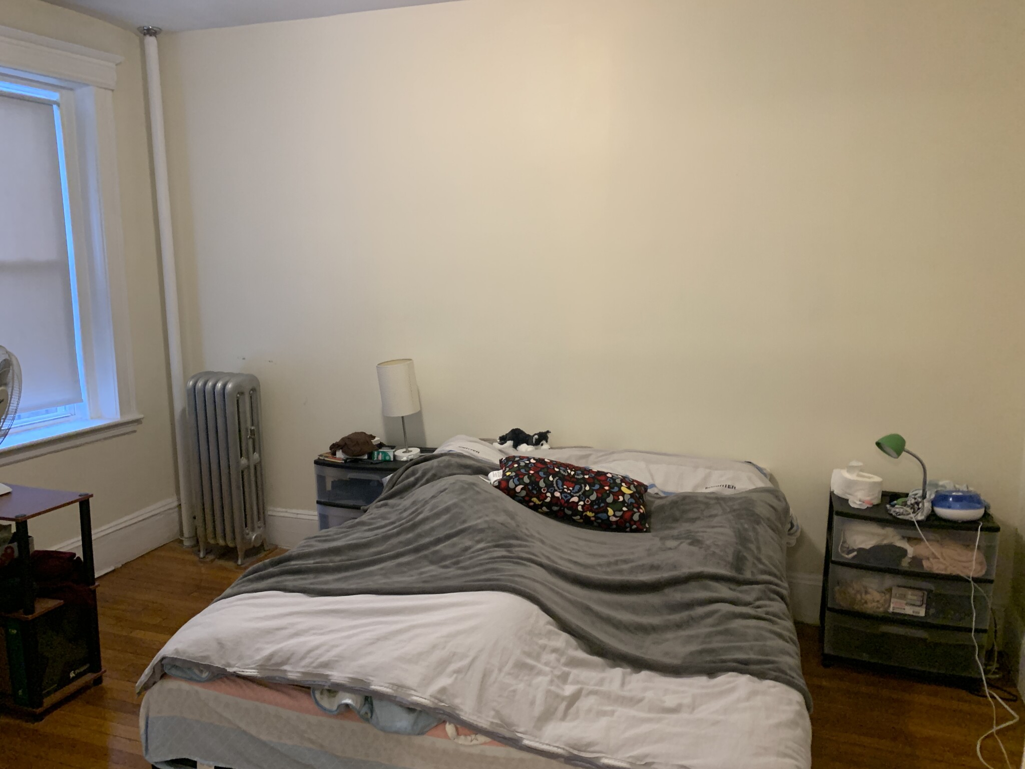 1125 Commonwealth Ave, Allston