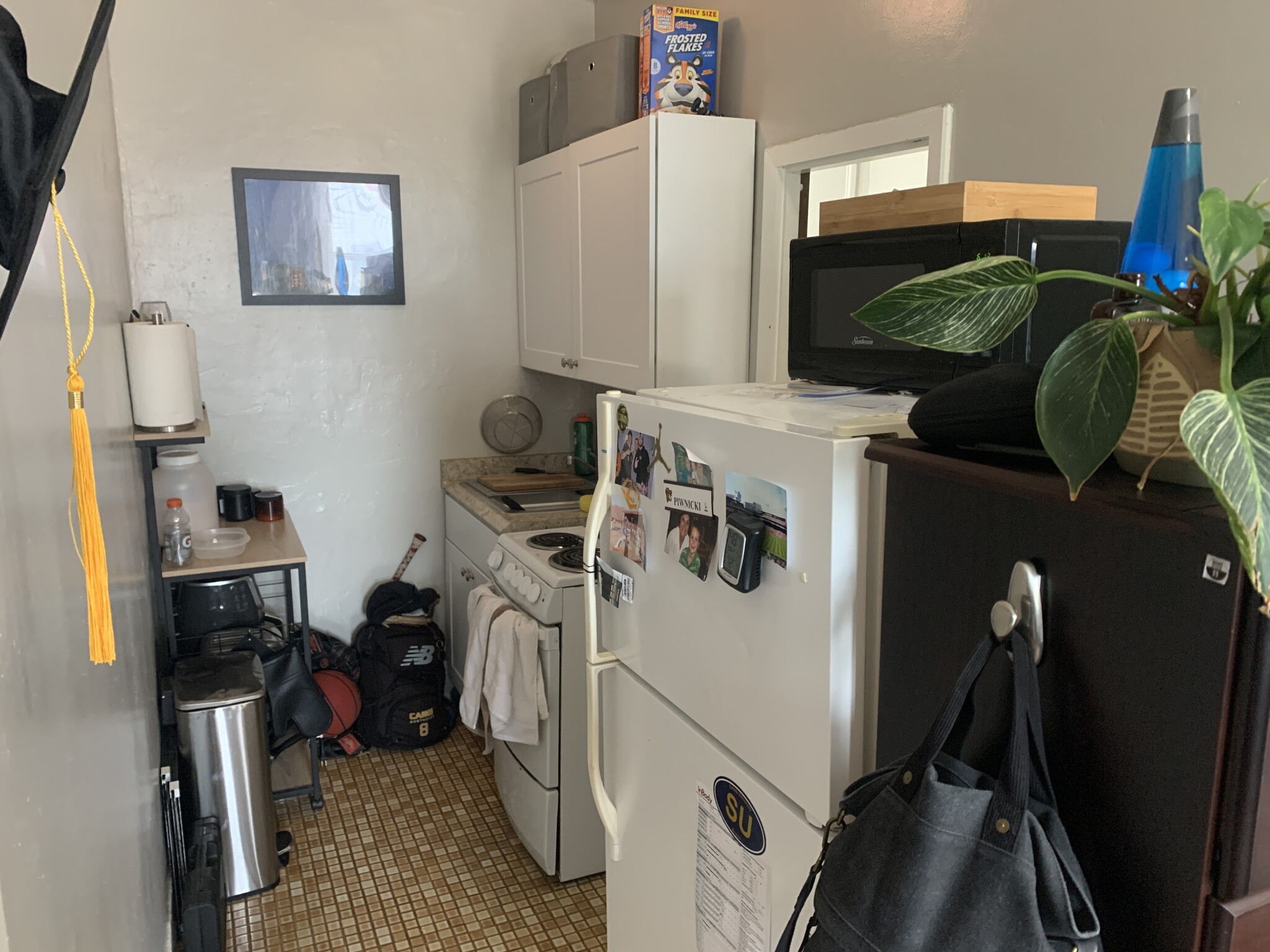 40 Anderson St, Beacon Hill