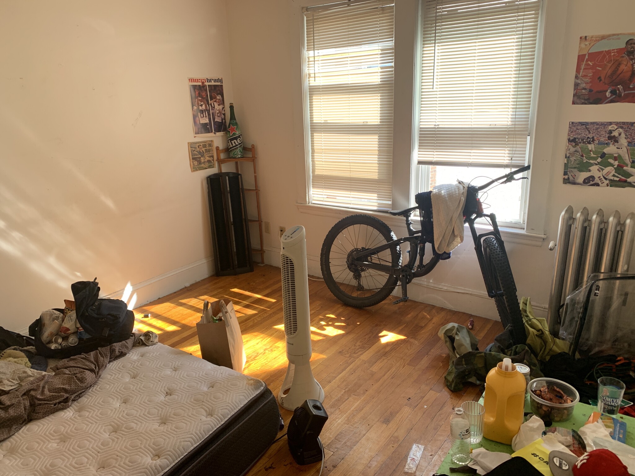 15 Scottfield Rd, Brighton