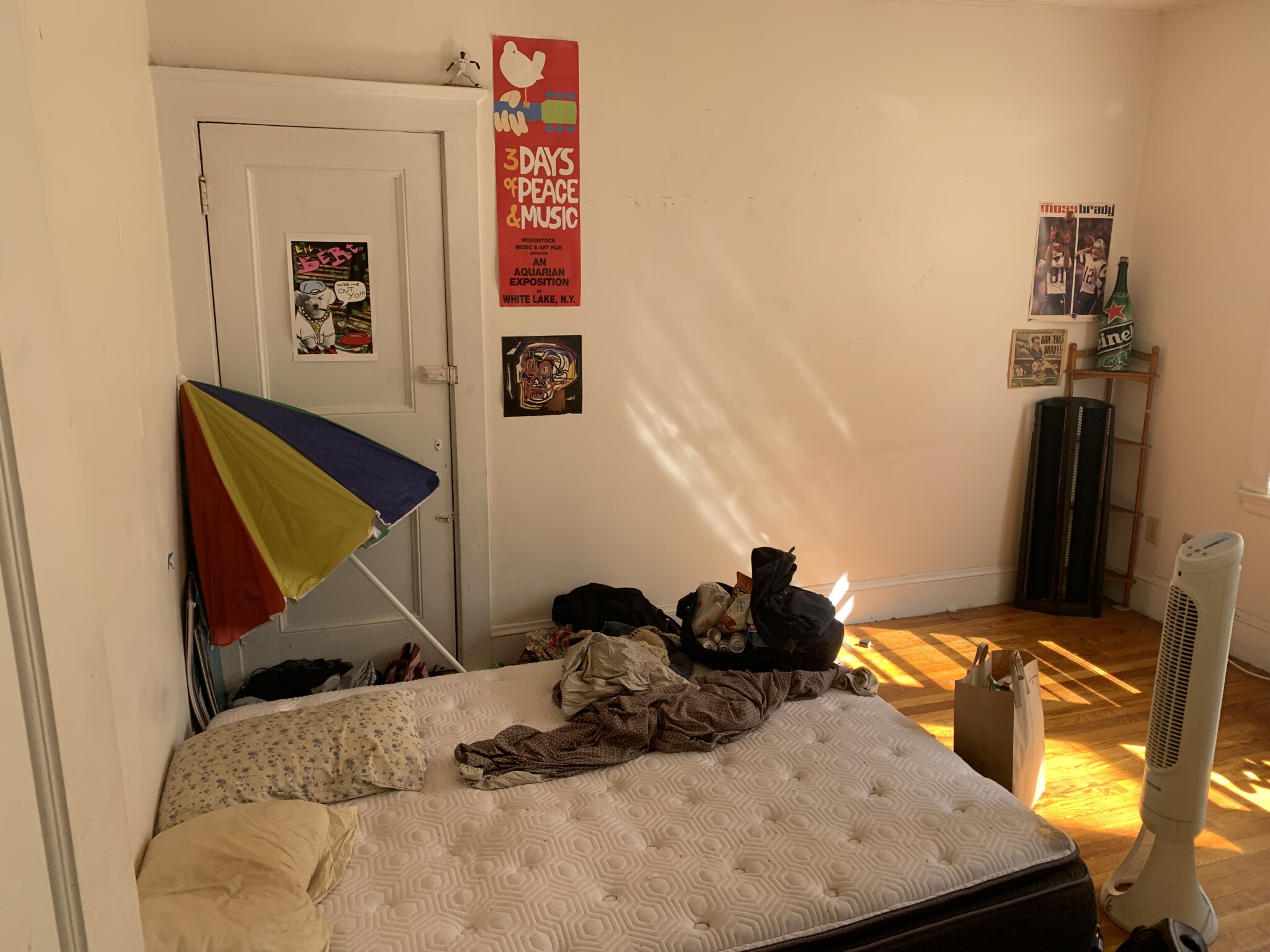 15 Scottfield Rd, Brighton