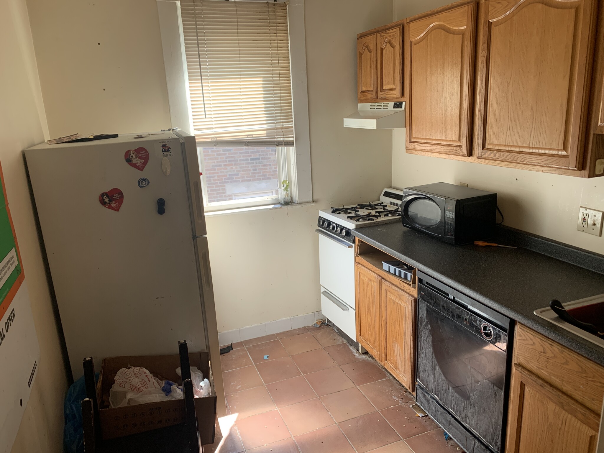 15 Scottfield Rd, Brighton