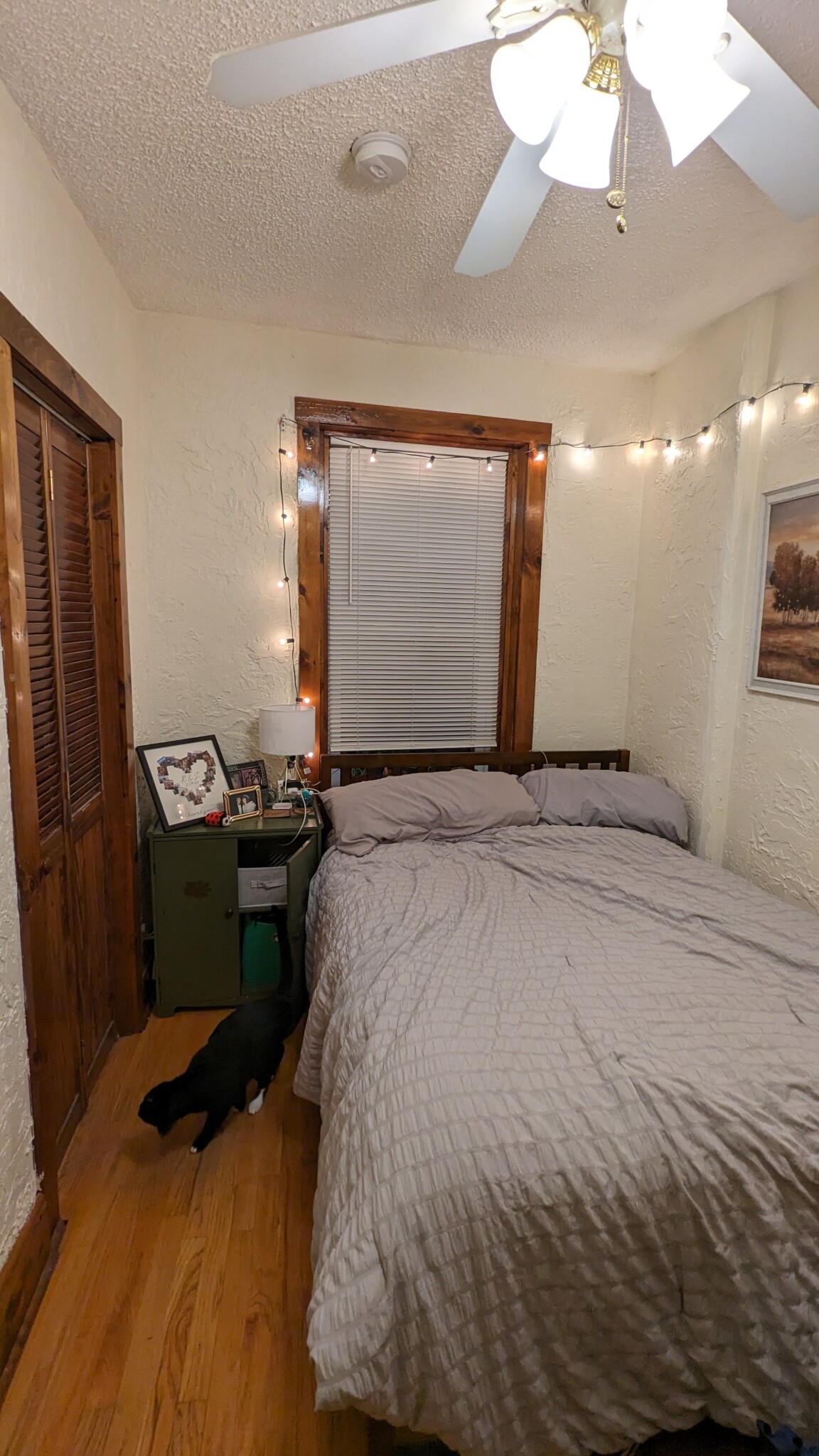 4 Garden Court St, North End